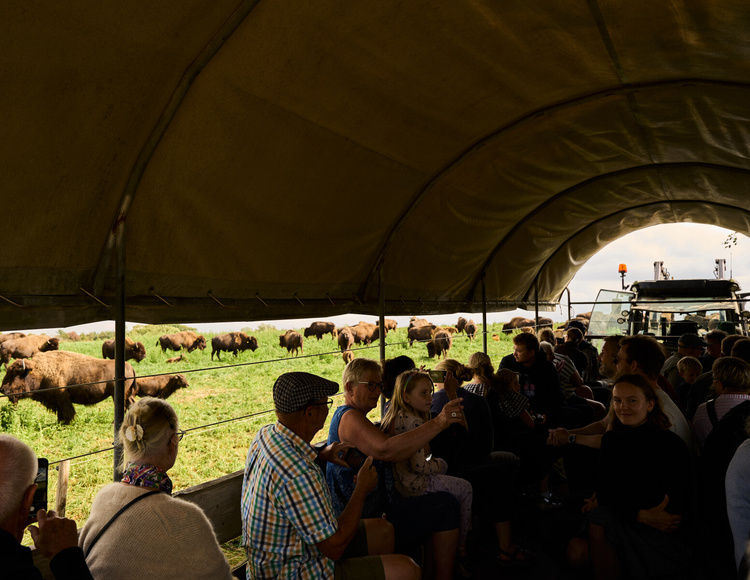 Guidet tur med prærievognen