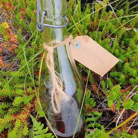 Guided snapsetur i Naturpark Vesterhavet