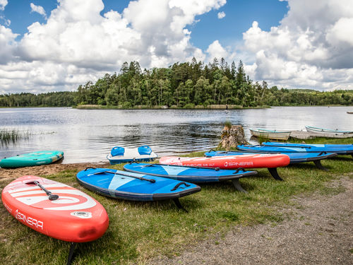 Stand Up Paddling
