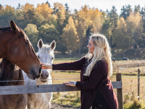 Tala med hästar