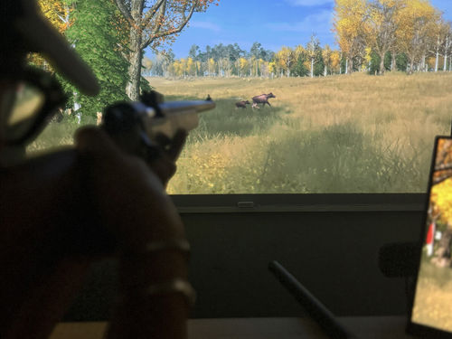 Skyttesimulator