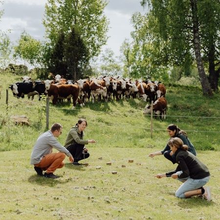 Teambyggande övningar