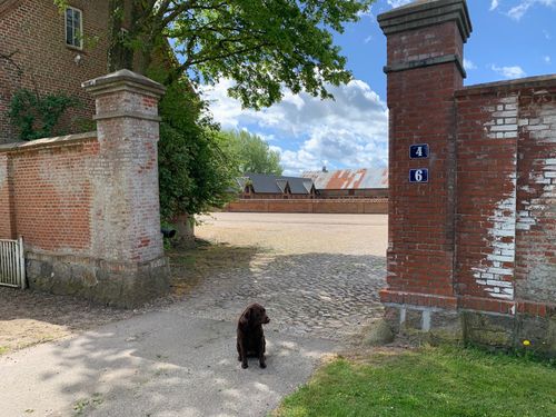 Skerrildgaard