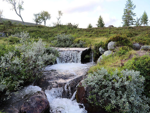 Vandring - In i vildmarken