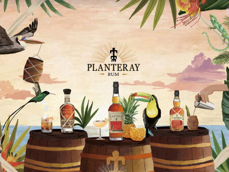 Rum Tasting Experience - med expertguide