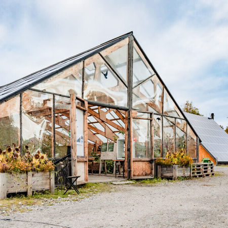 Lär dig om klimatsmart odling