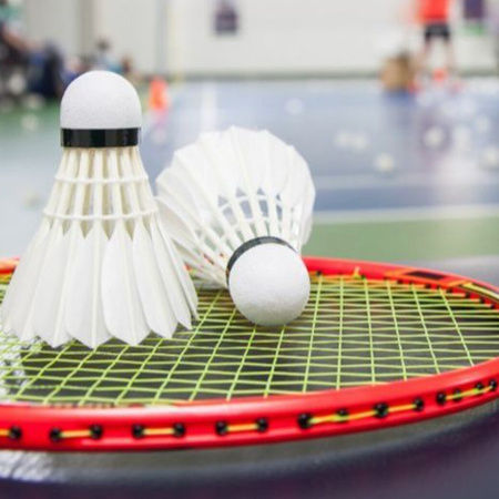 Badminton, Volleyball, Basketball m.m