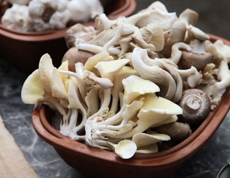 Ønsker I først at "sanke" råvarerne i skoven - kan det sagtens arrangeres