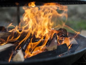 Den hurtige sanketur med bålsnack