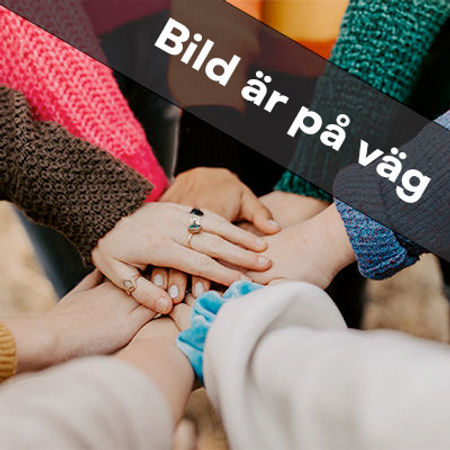 Båttur med besøk til Håøya