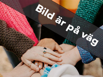 Vinprovning