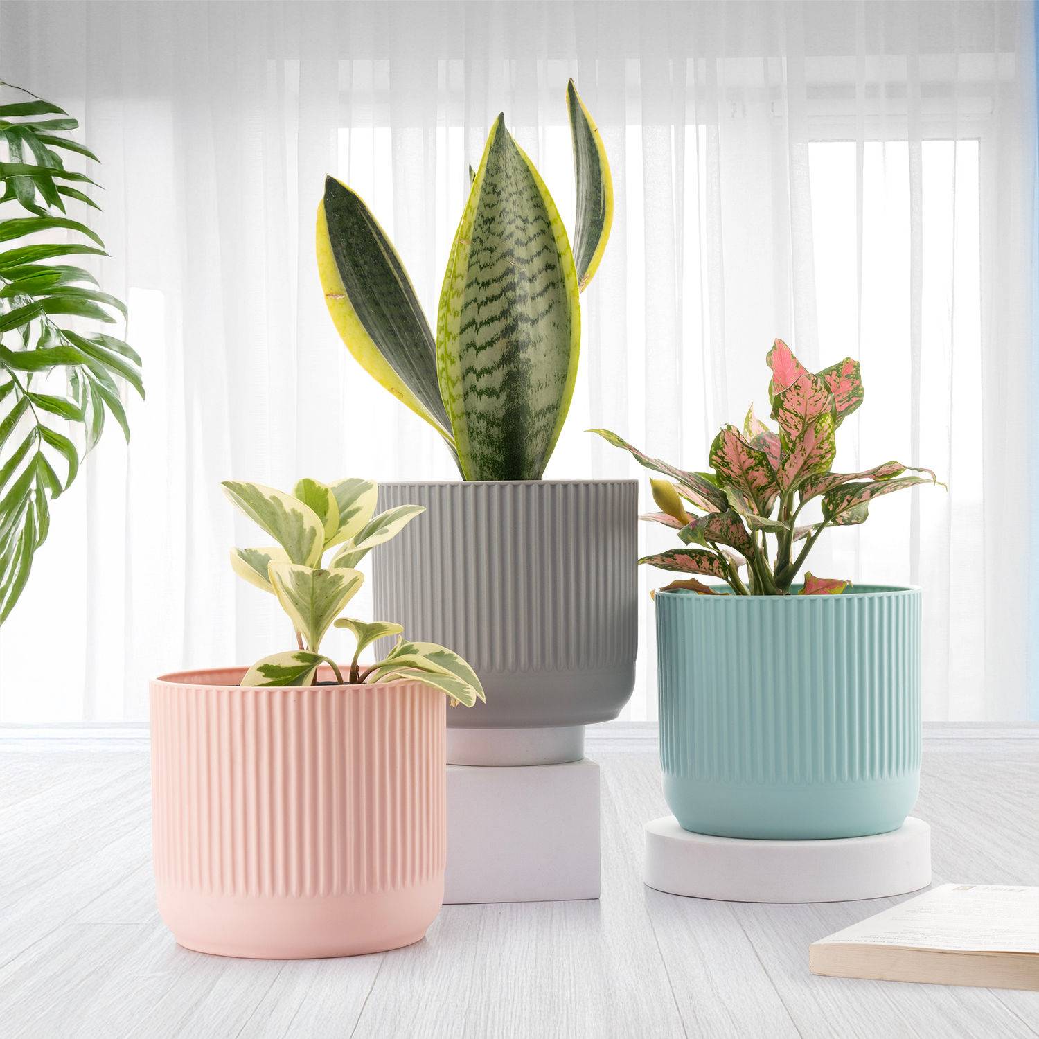 Plastic Table Top & Floor Planter | Indoor & Outdoor Use | Set of 3 | 6 Inch Pot | Multicolor Botani Flower Pot