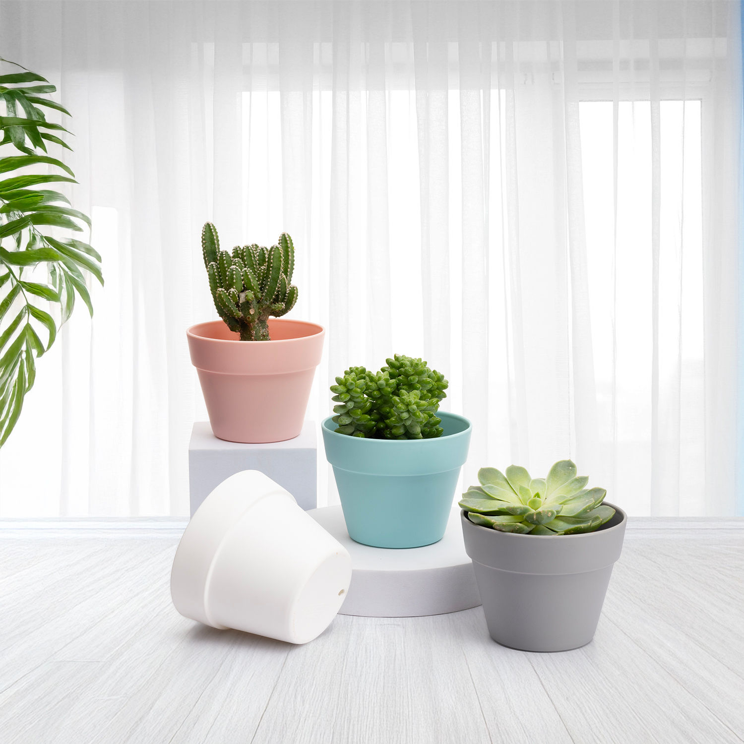 Plastic Table Top & Floor Planter | Indoor & Outdoor Use | Set of 4 | 3 Inch Pot | Multicolor Petal Flower Pot