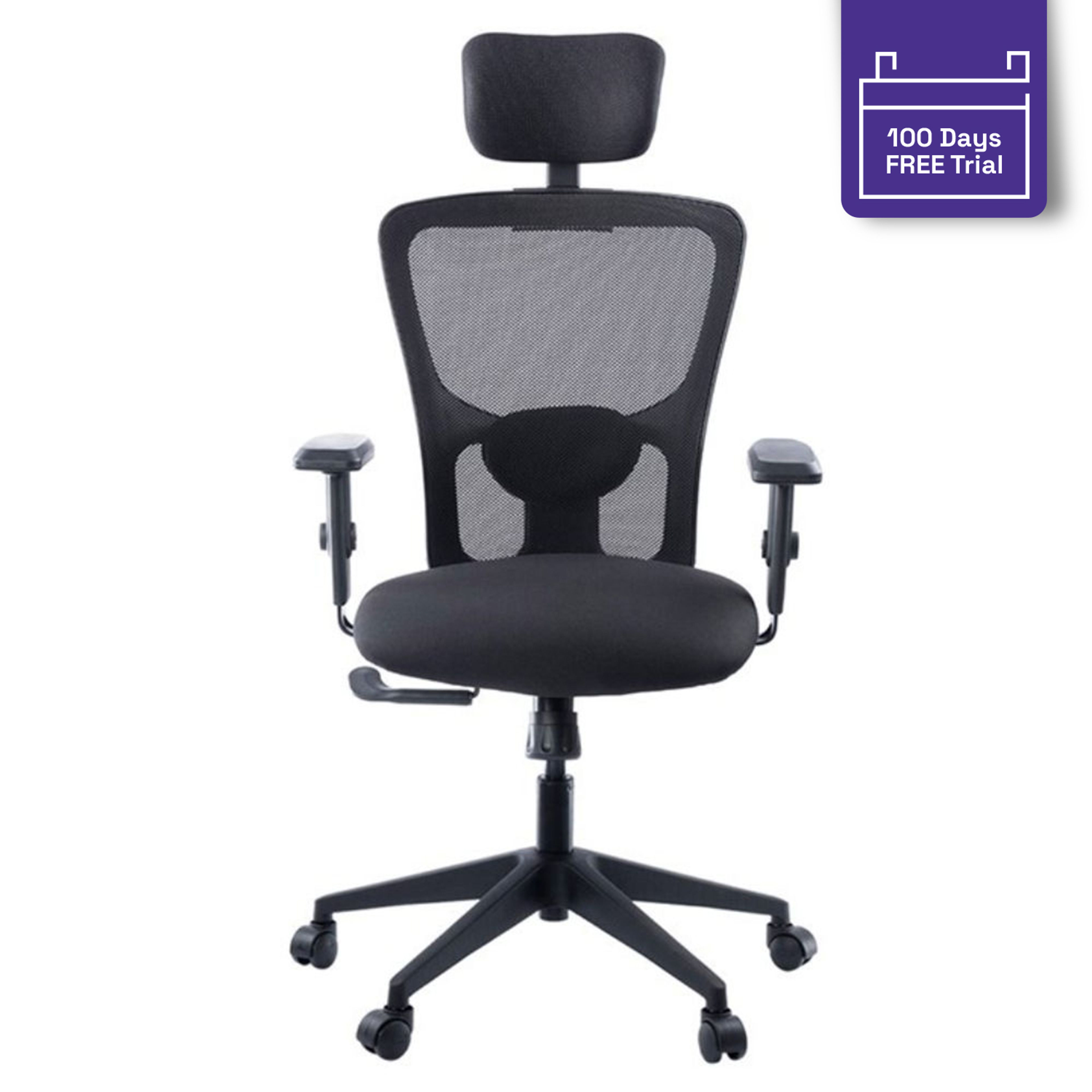Single Back Chair Buy Albus High Back Ergonomic Office Chairs