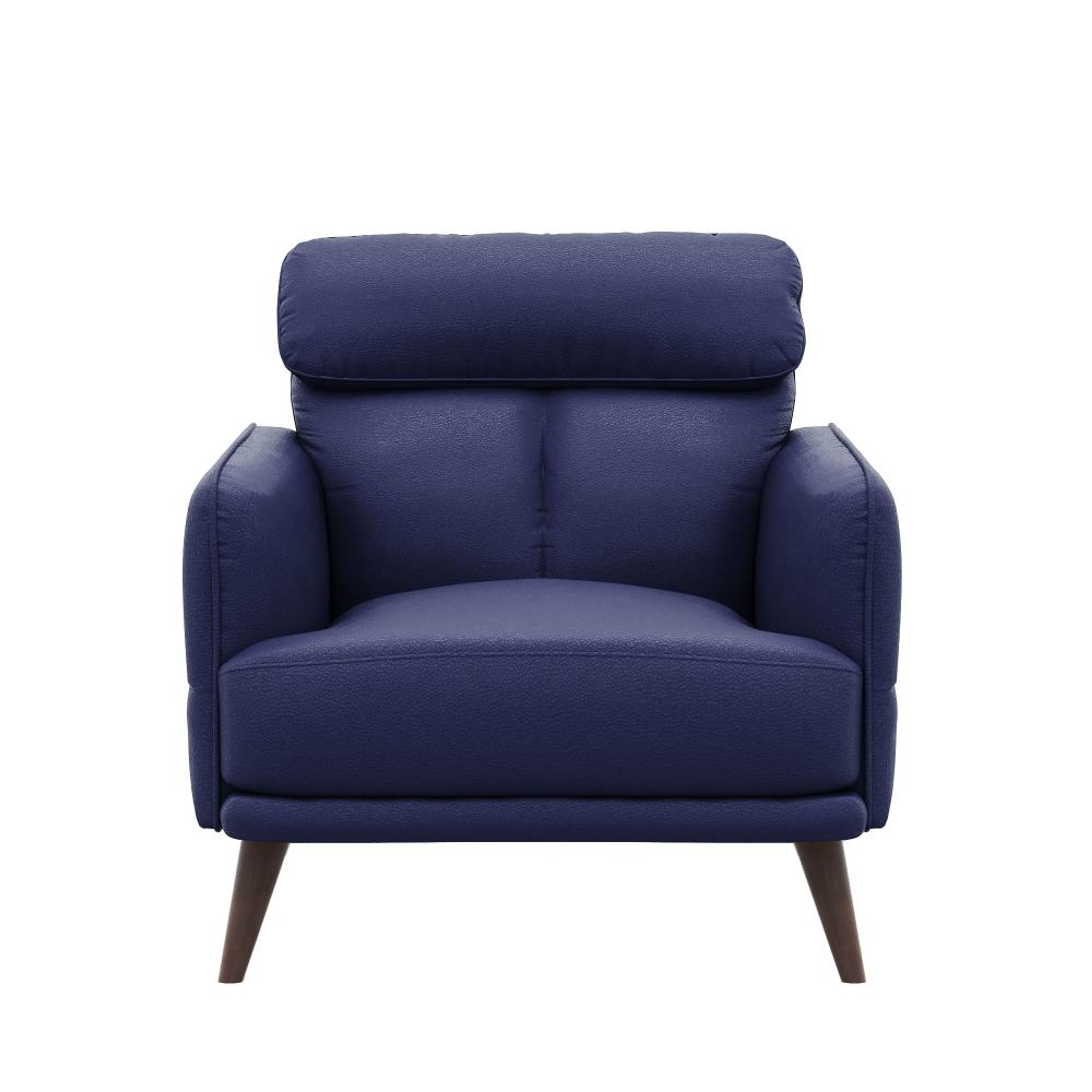 img/npl_modified_images/Azr_sofa/WSFAAZRN1LRBL/WSFAAZRN1LRBL_WB_2.jpg