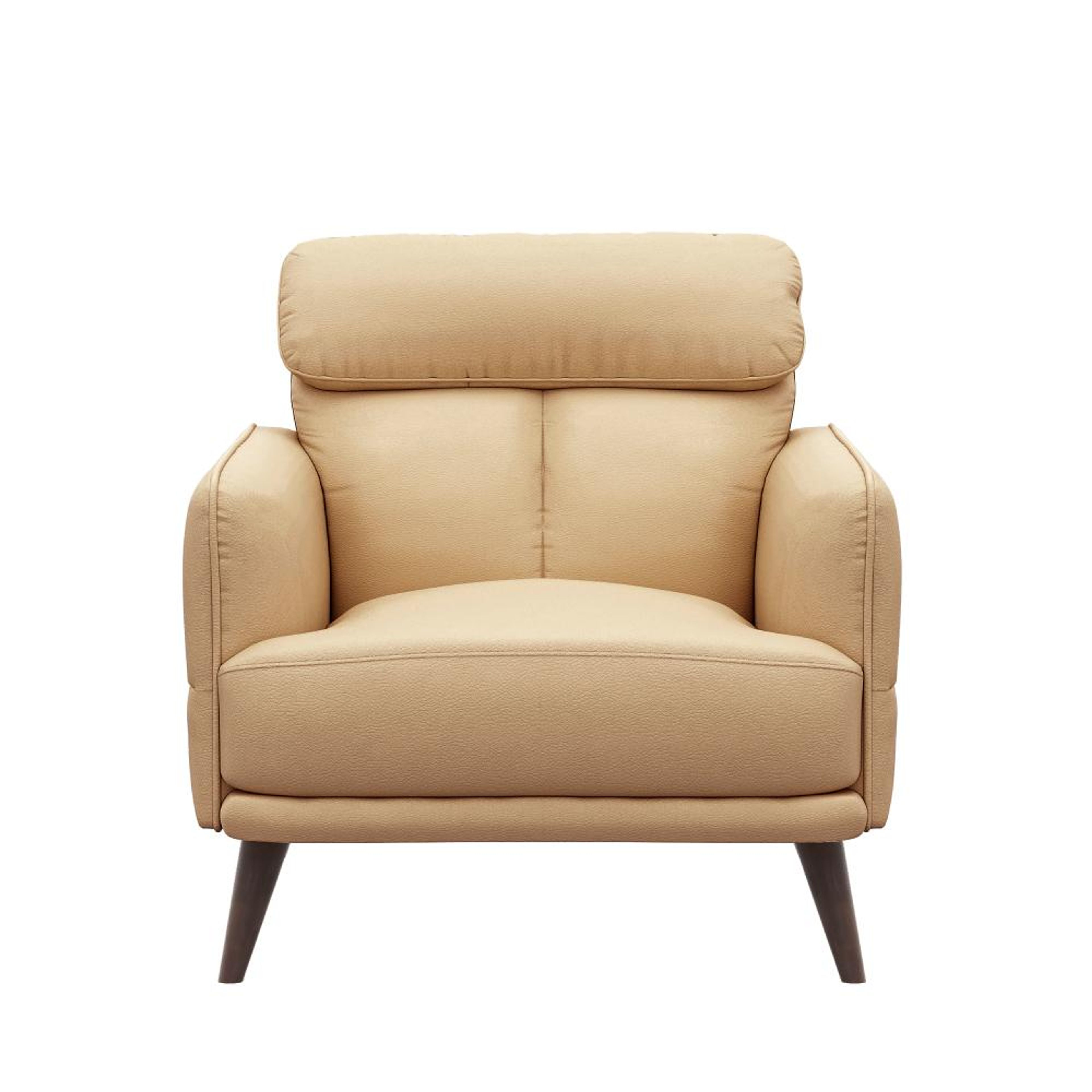img/npl_modified_images/Azr_sofa/WSFAAZRN1LRIV/WSFAAZRN1LRIV_WB_2.jpg