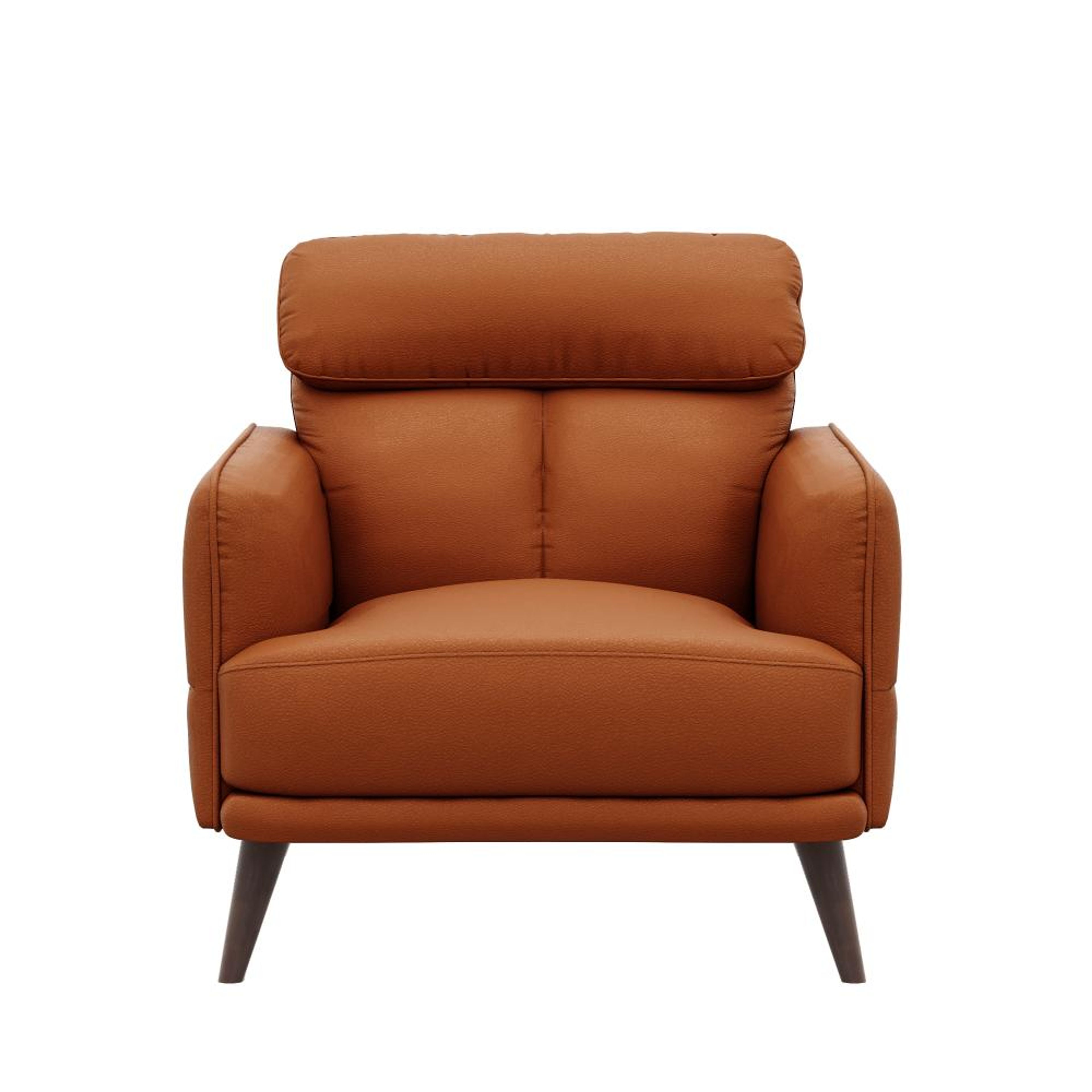 img/npl_modified_images/Azr_sofa/WSFAAZRN1LRTN/WSFAAZRN1LRTN_WB_2.jpg