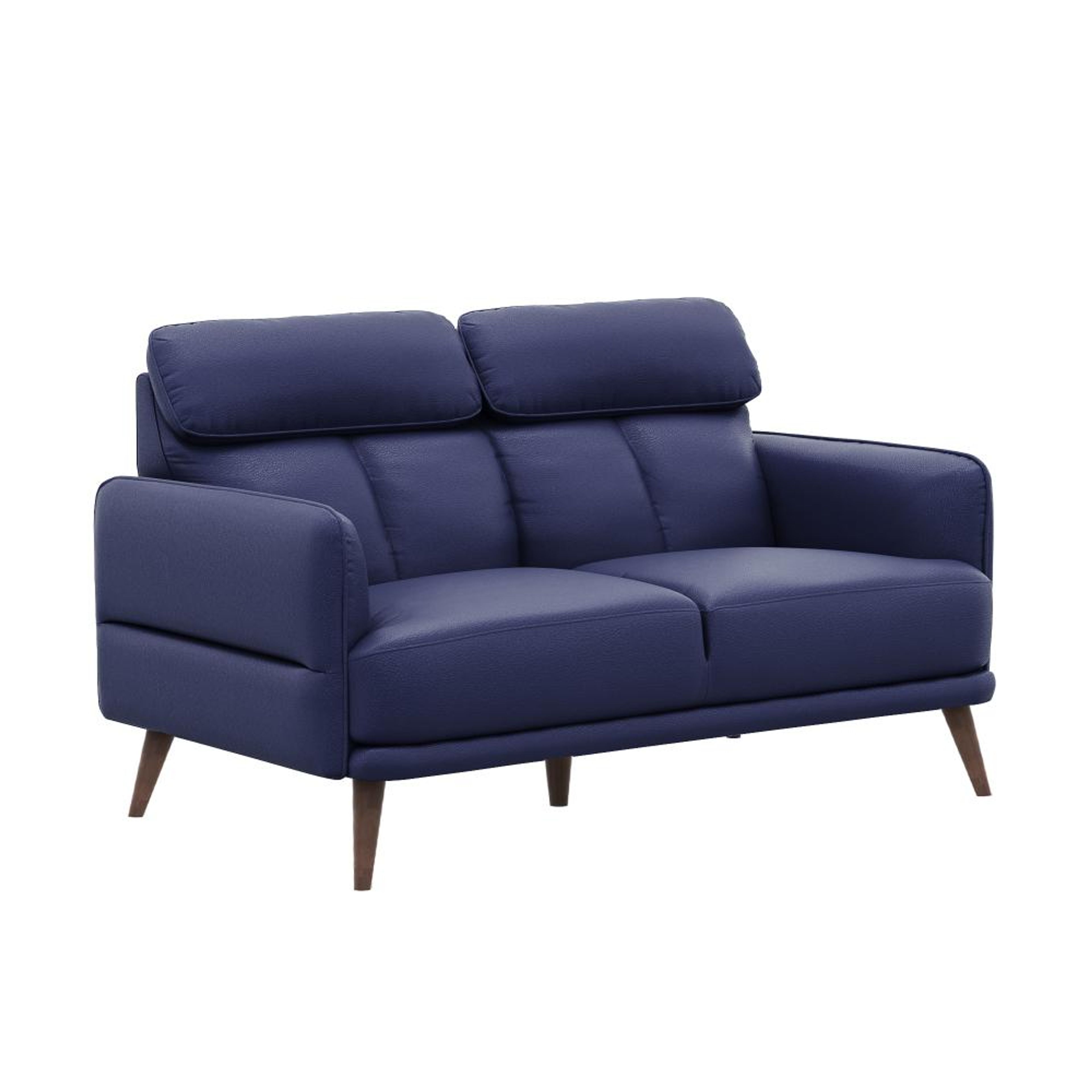 img/npl_modified_images/Azr_sofa/WSFAAZRN2LRBL/WSFAAZRN2LRBL_S1_3.jpg