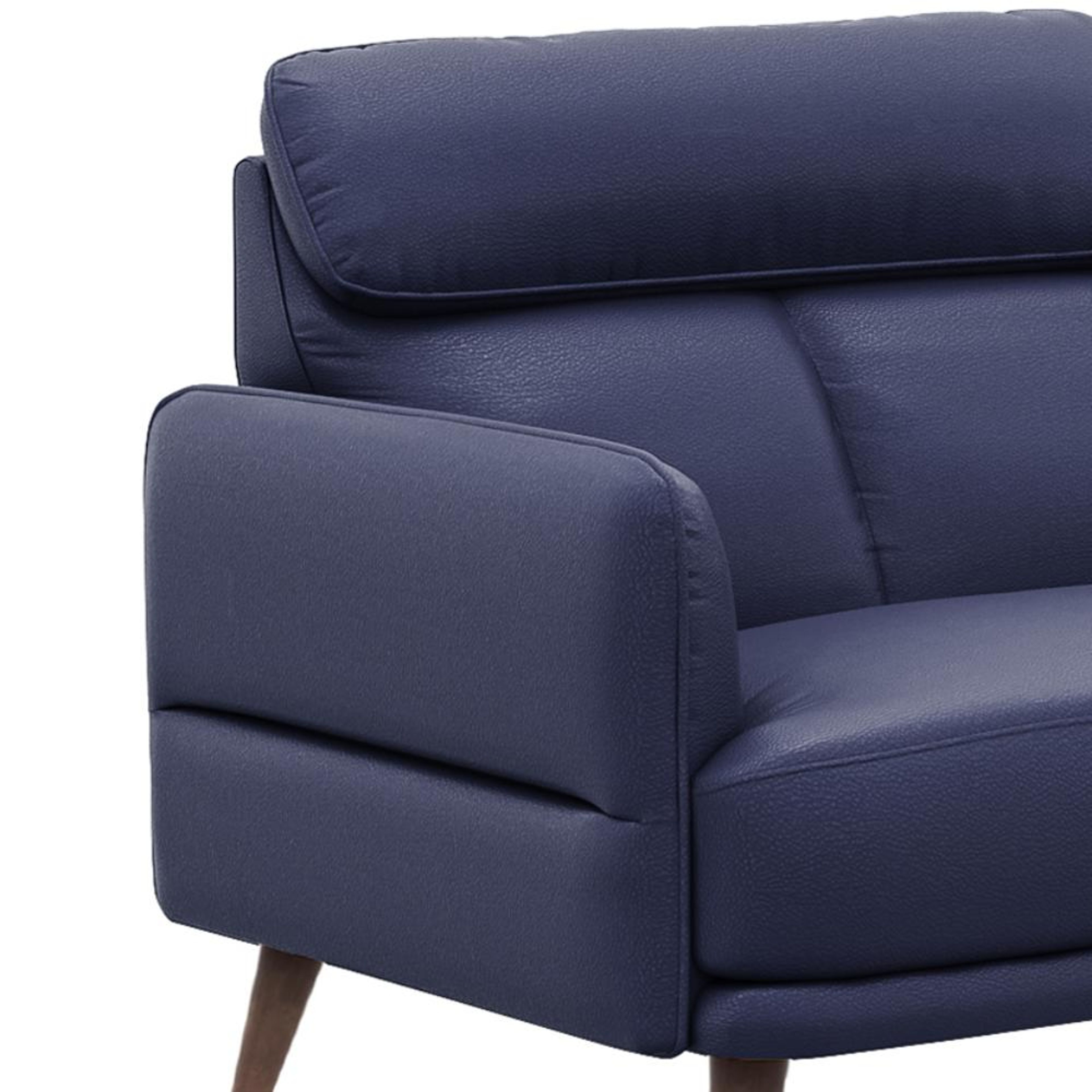 img/npl_modified_images/Azr_sofa/WSFAAZRN2LRBL/WSFAAZRN2LRBL_S3_5.jpg