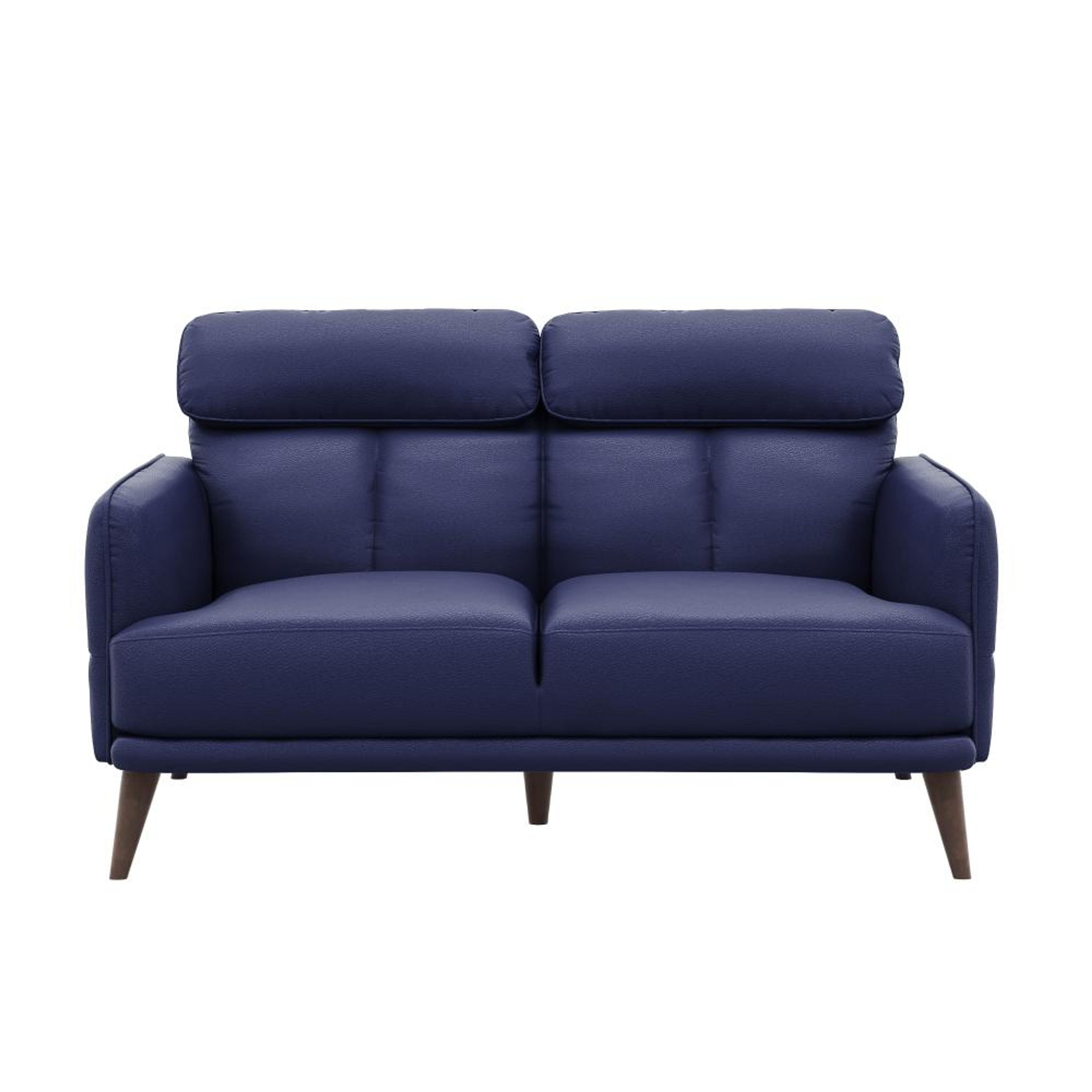 img/npl_modified_images/Azr_sofa/WSFAAZRN2LRBL/WSFAAZRN2LRBL_WB_2.jpg