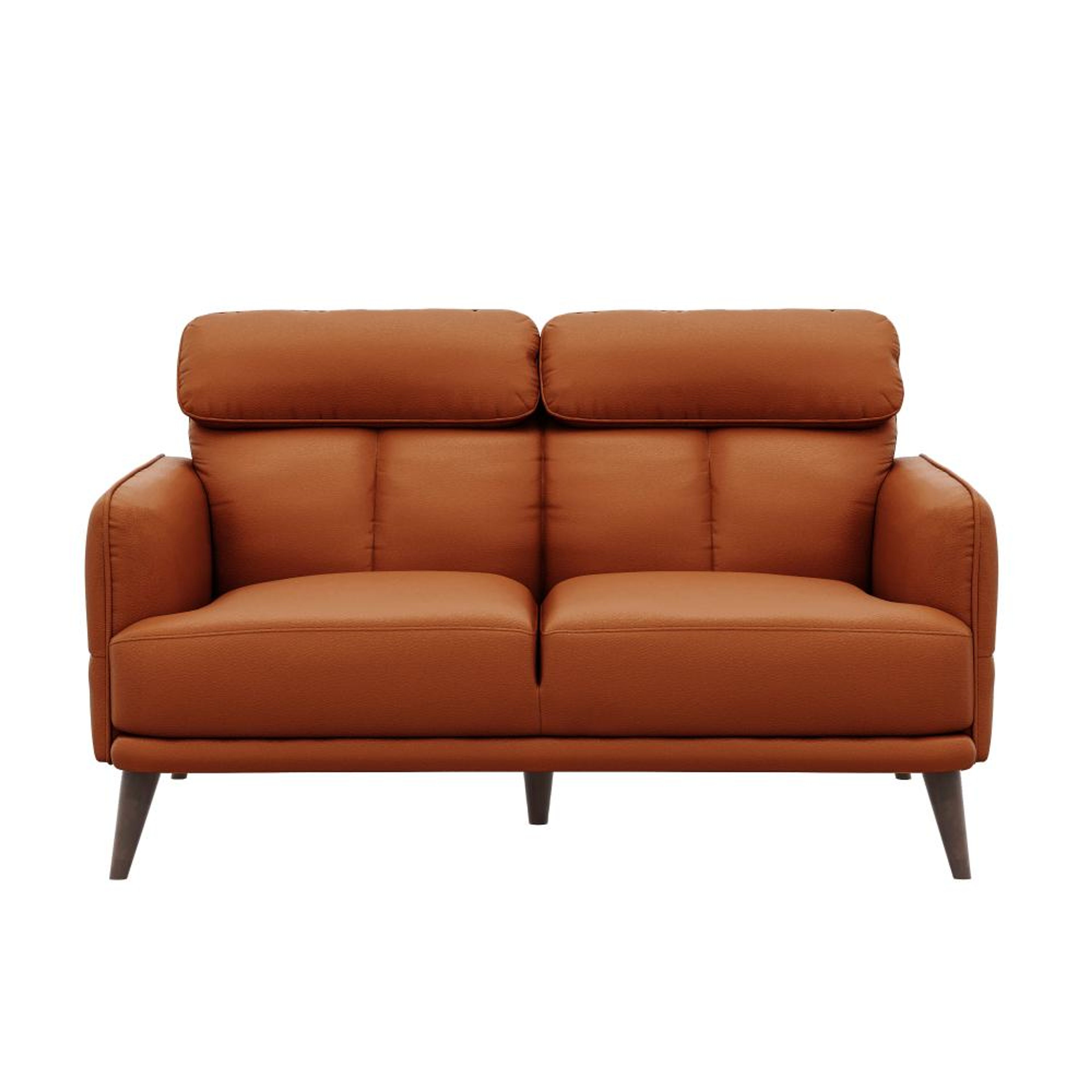 img/npl_modified_images/Azr_sofa/WSFAAZRN2LRTN/WSFAAZRN2LRTN_WB_2.jpg