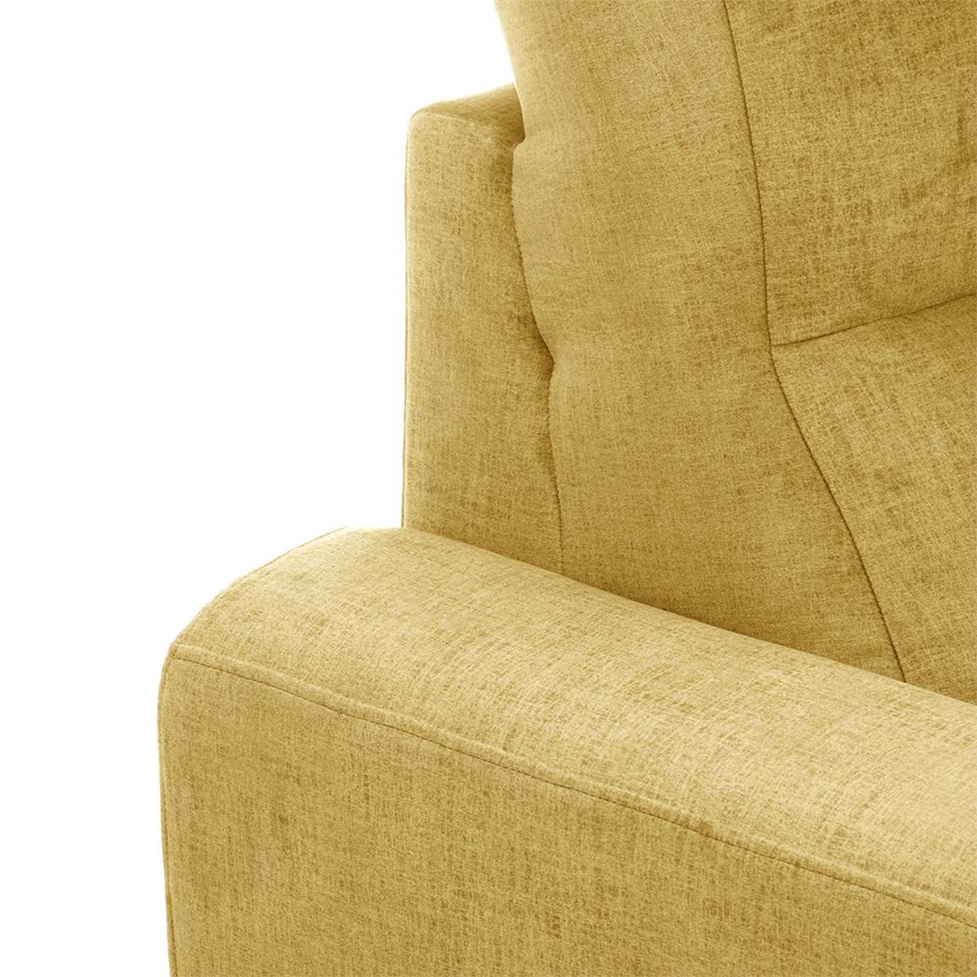 img/npl_modified_images/Belize/sofa_WSFABLZPN2FRYL/sofa_WSFABLZPN2FRYL_3.jpg
