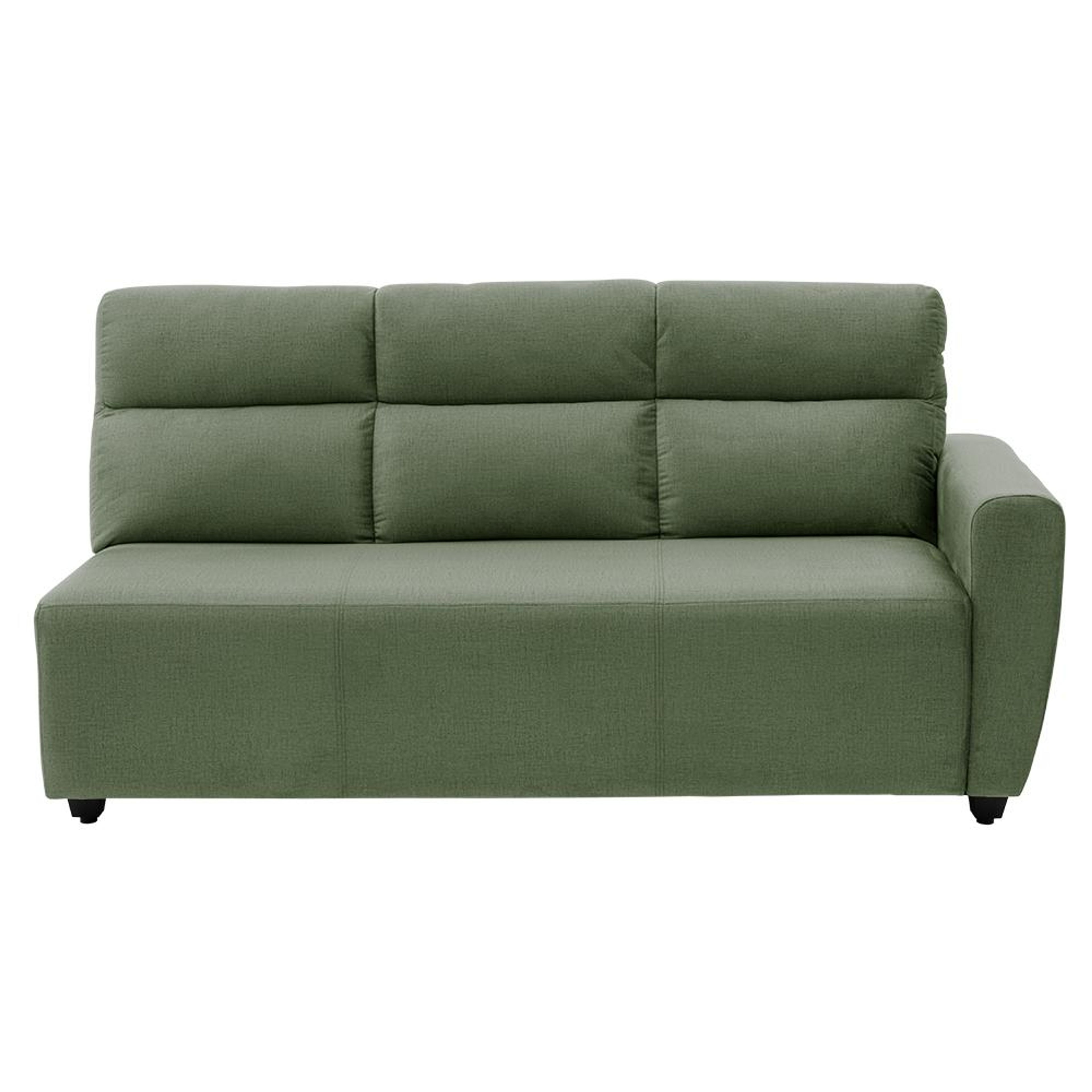 img/npl_modified_images/BelizeplusNewLR3/sofa_WSFABLZPL3CFRGN/sofa_WSFABLZPL3CFRGN_3.jpg
