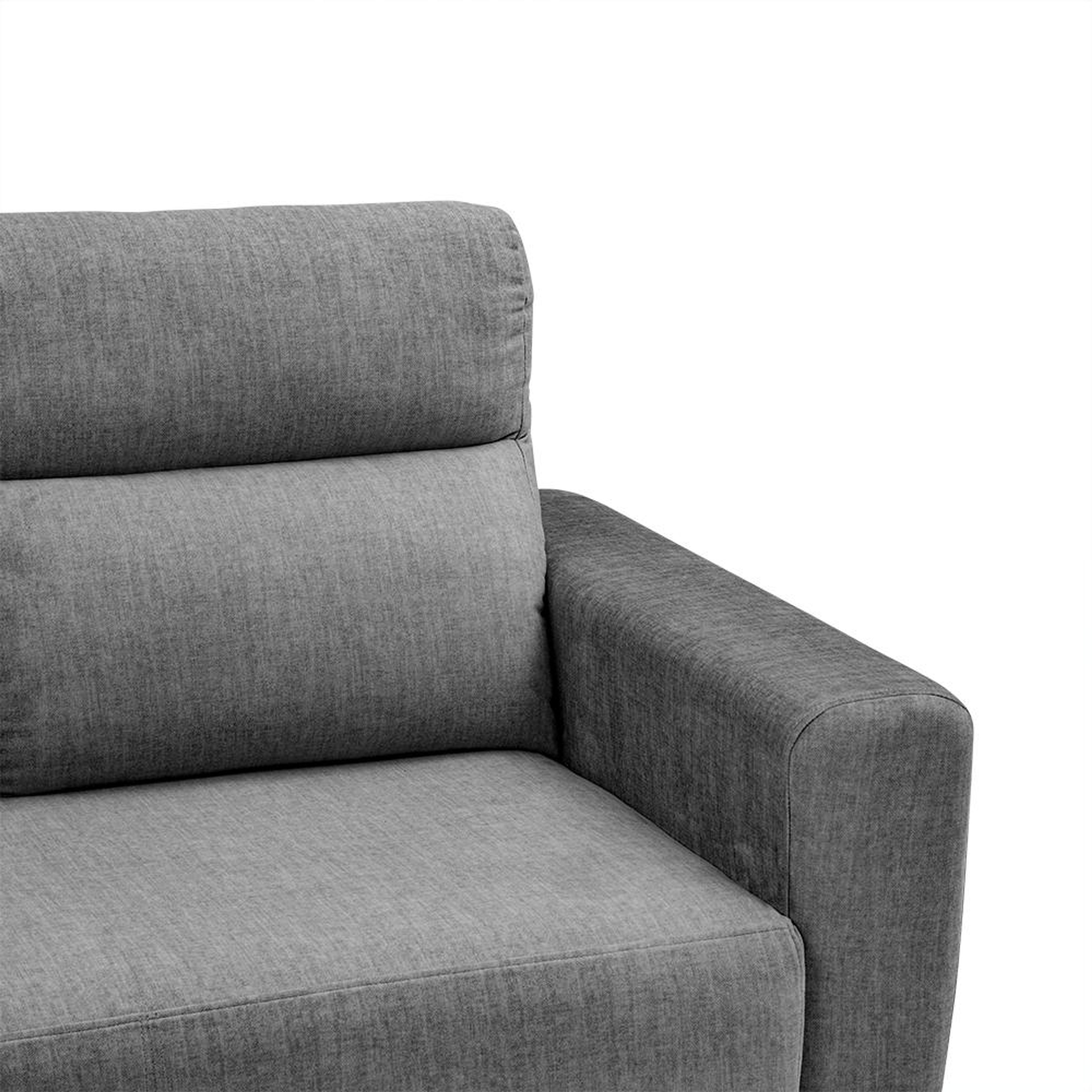 img/npl_modified_images/BelizeplusNewLR3/sofa_WSFABLZPL3CFVGP/sofa_WSFABLZPL3CFVGP_5.jpg