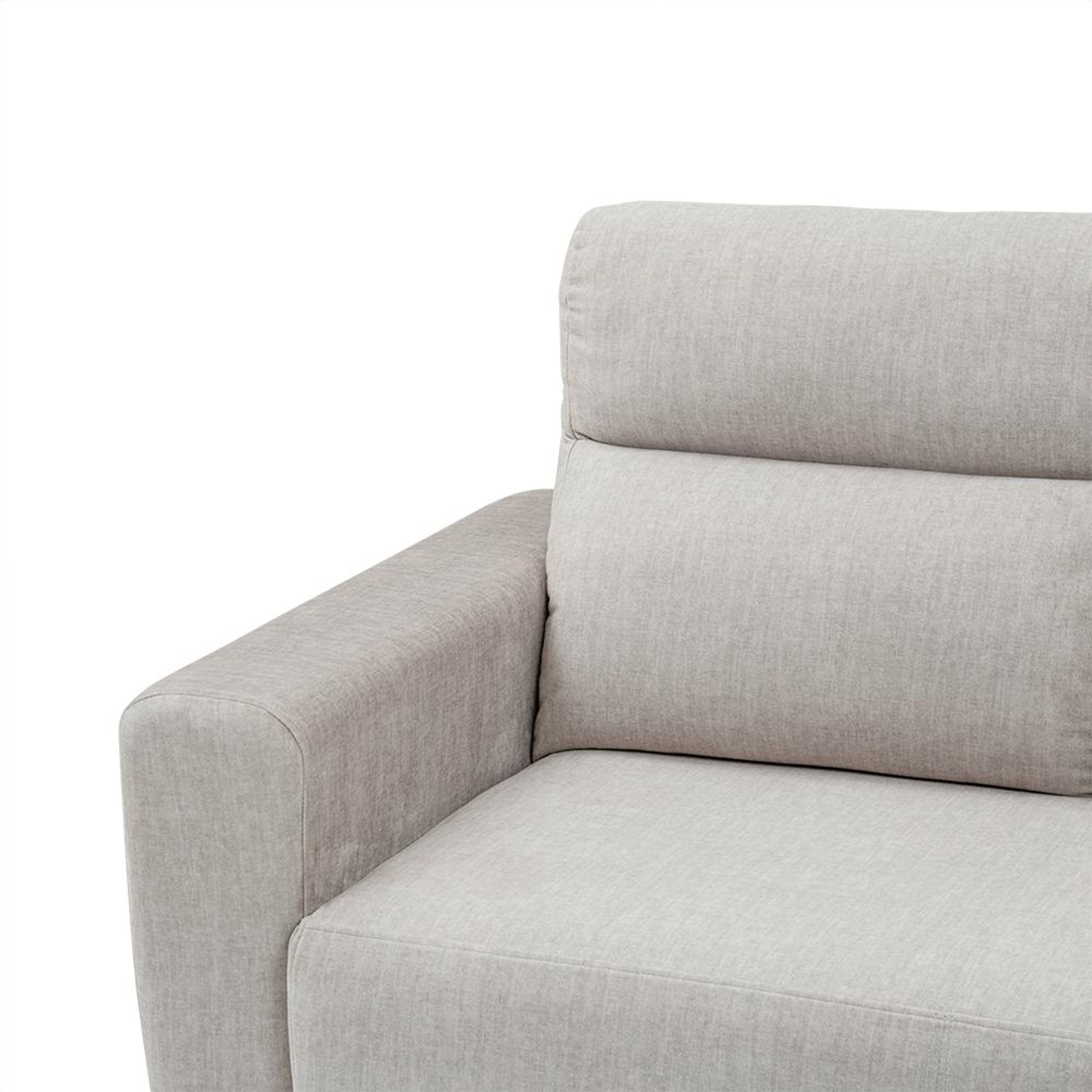 img/npl_modified_images/BelizeplusNewLR3/sofa_WSFABLZPR3CFVBG/sofa_WSFABLZPR3CFVBG_5.jpg