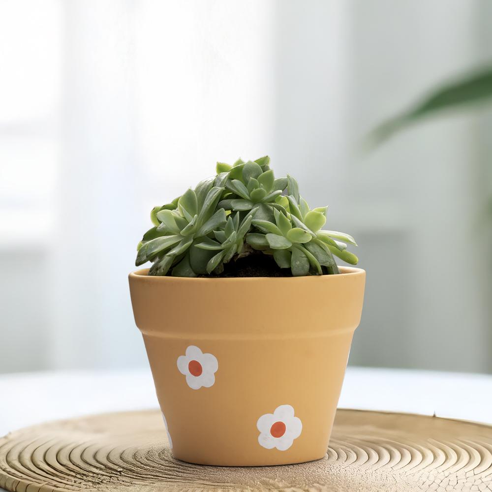 Ceramic Table Top & Floor Planter | Indoor & Outdoor Garden Pot | Peach | 4 Inch Pot | Ruel Pot