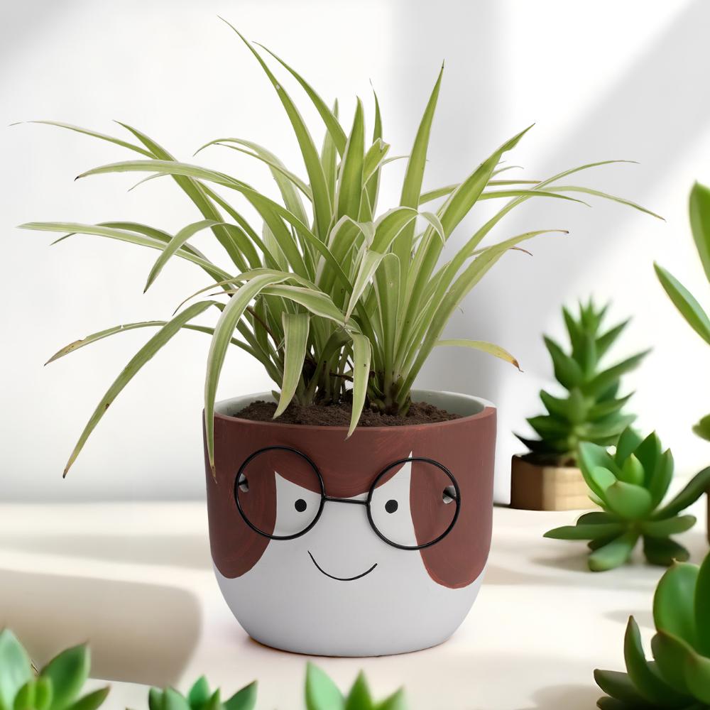 Ceramic Table Top & Floor Planter | Indoor & Outdoor Garden Pot | Red | 5.5 Inch Pot | Sangui Face Shaped Pot