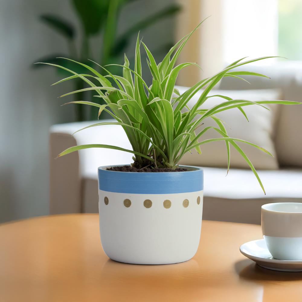 Ceramic Table Top Flower Pot | Indoor & Outdoor Planter | Blue & White | 5 Inch Pot | Senecio Polka Pot