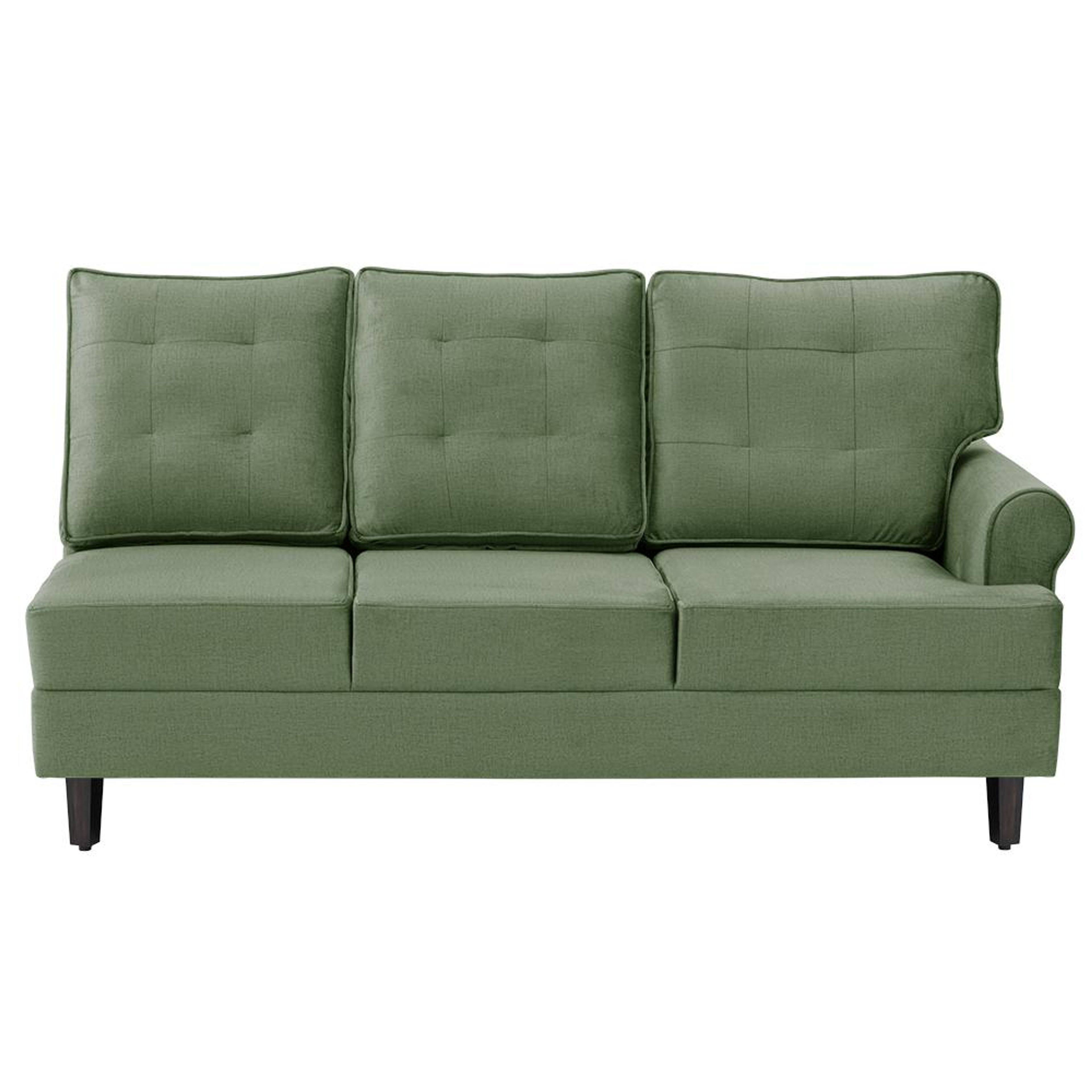 img/npl_modified_images/DreamerplusNewLR3/sofa_WSFADMRPL3CFRGN/sofa_WSFADMRPL3CFRGN_3.jpg