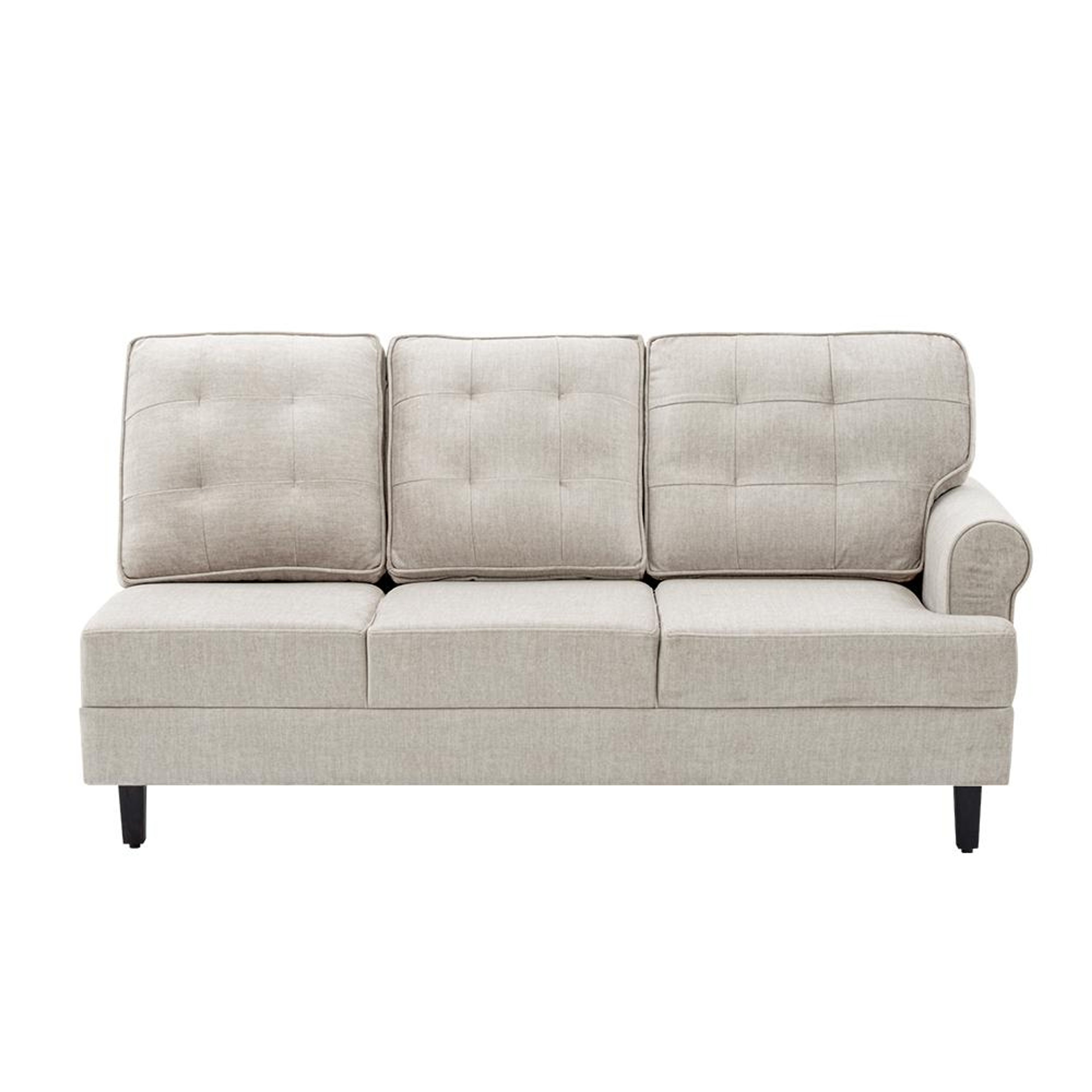 img/npl_modified_images/DreamerplusNewLR3/sofa_WSFADMRPL3CFVBG/sofa_WSFADMRPL3CFVBG_3.jpg