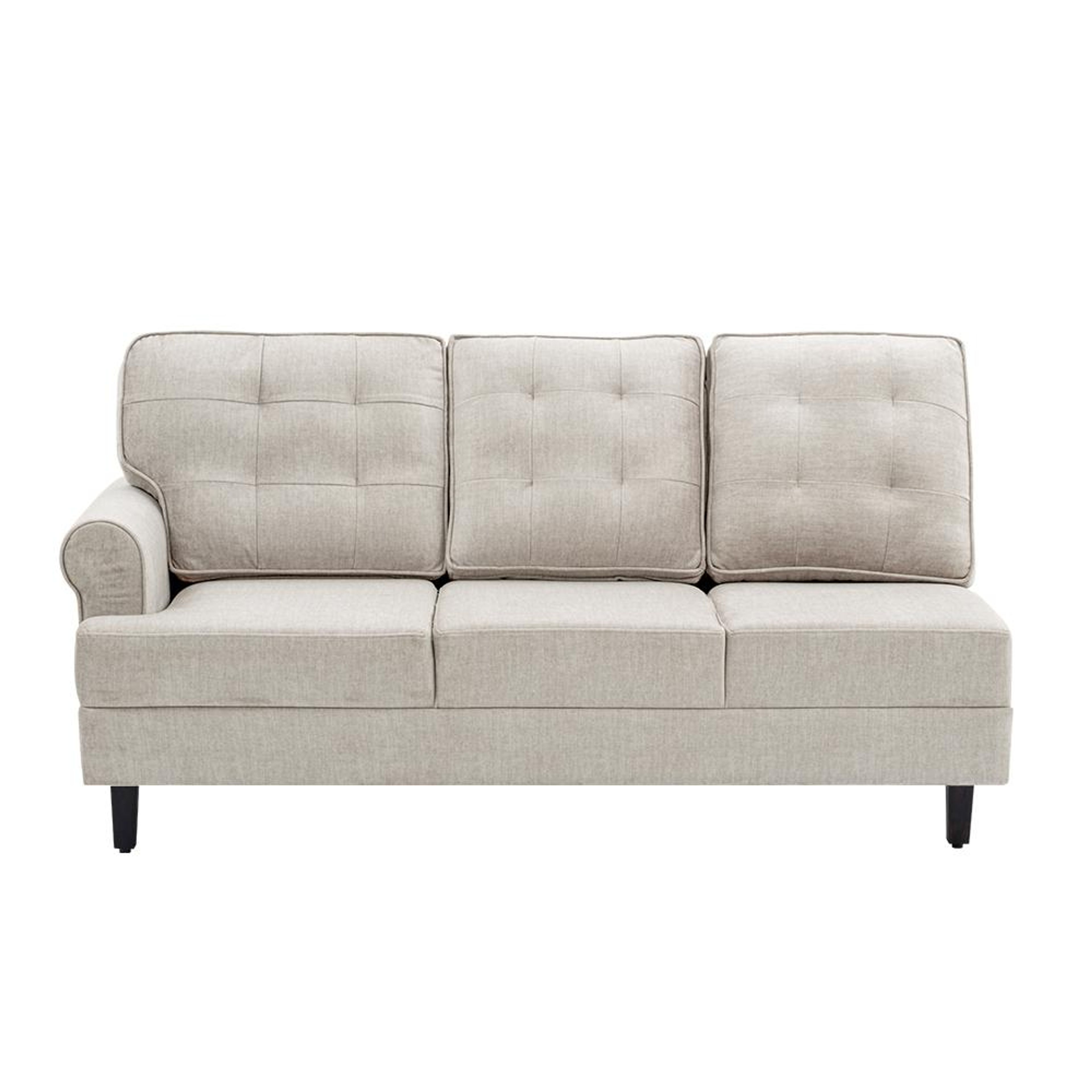 img/npl_modified_images/DreamerplusNewLR3/sofa_WSFADMRPR3CFVBG/sofa_WSFADMRPR3CFVBG_3.jpg