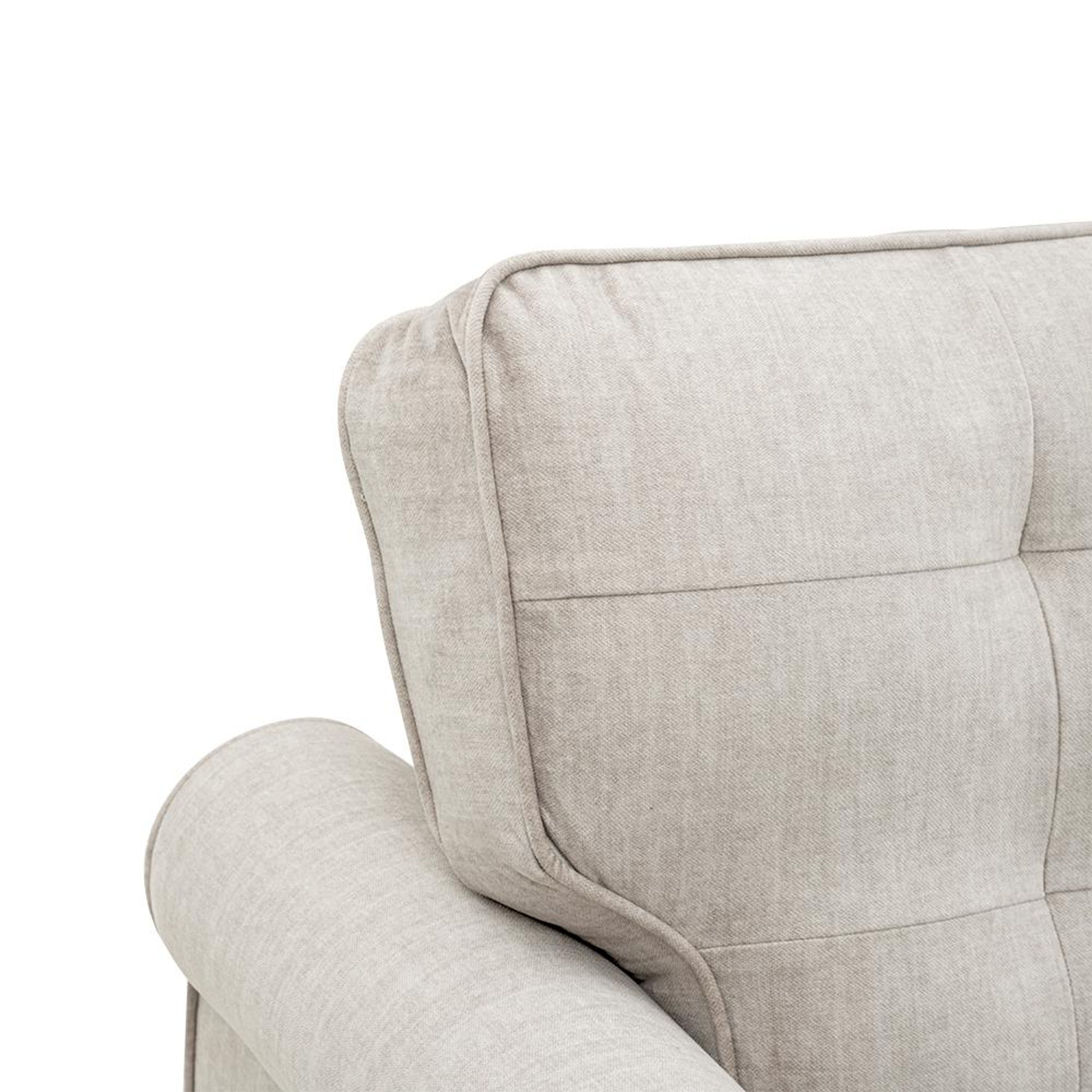 img/npl_modified_images/DreamerplusNewLR3/sofa_WSFADMRPR3CFVBG/sofa_WSFADMRPR3CFVBG_5.jpg