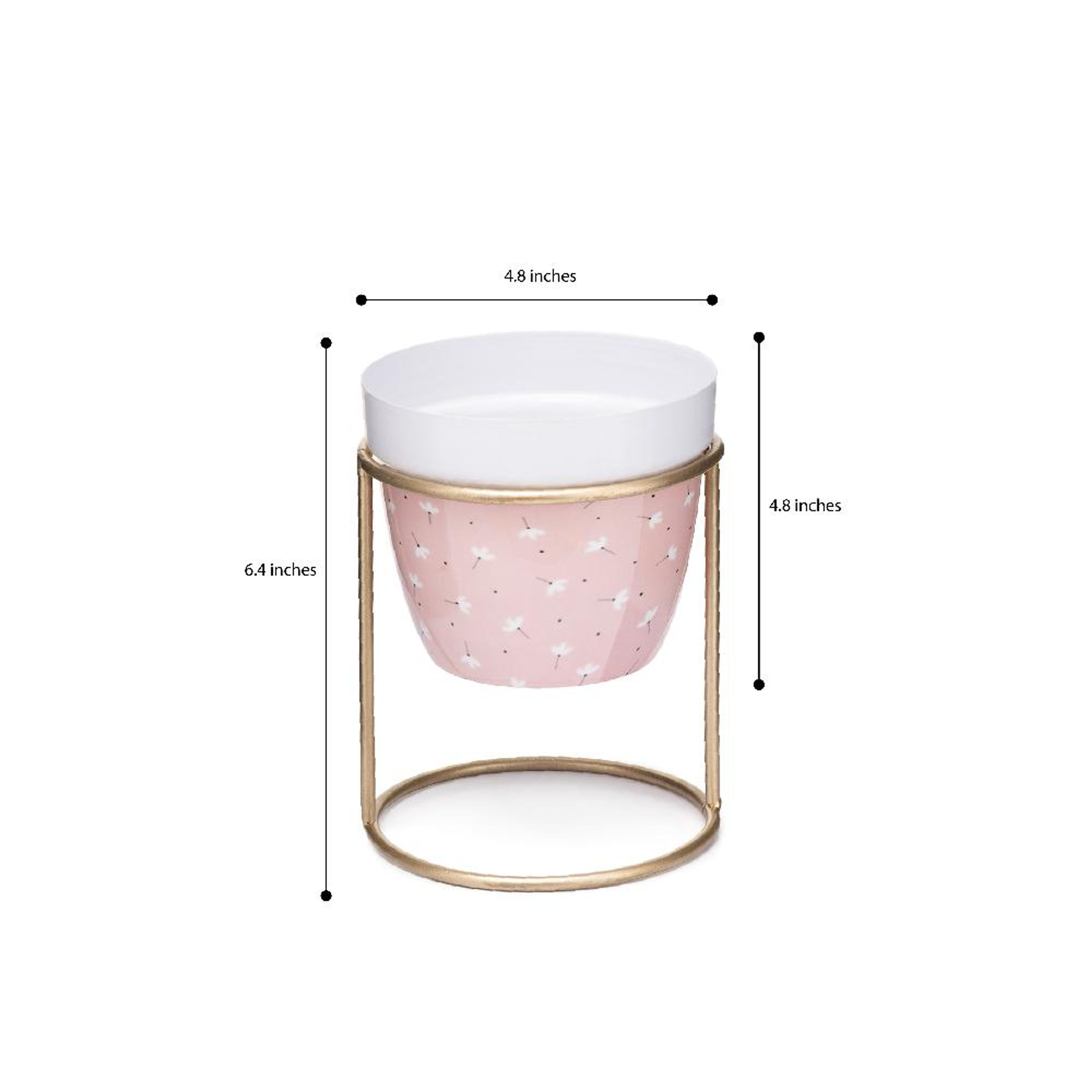 img/npl_modified_images/Metal_Pots1703/WPOPLVMPBMLBLS1/WPOPLVMPBMLBLS1_WB_2.jpg