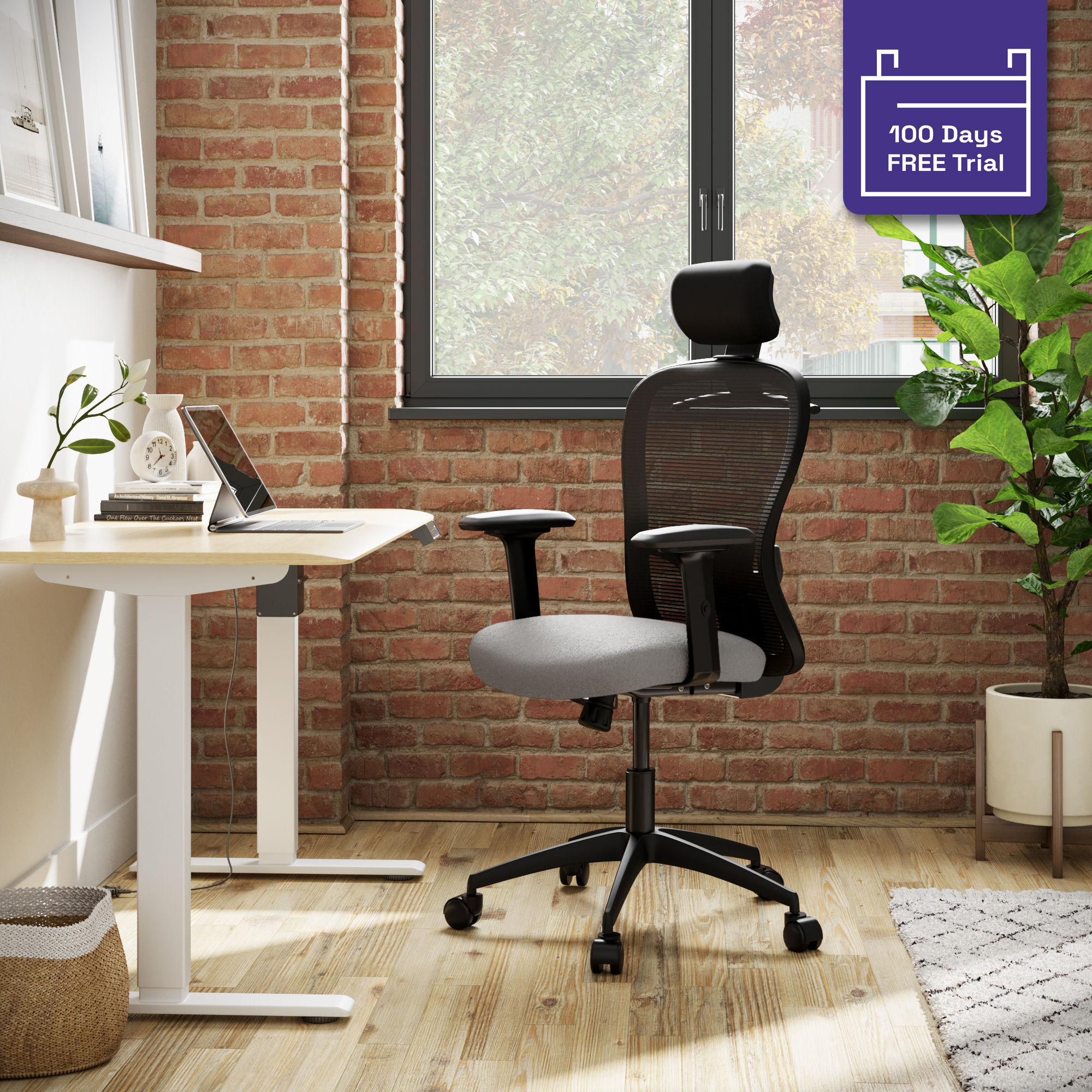 Buy Wakefit Safari Pro High Back Ergonomic Office Chair