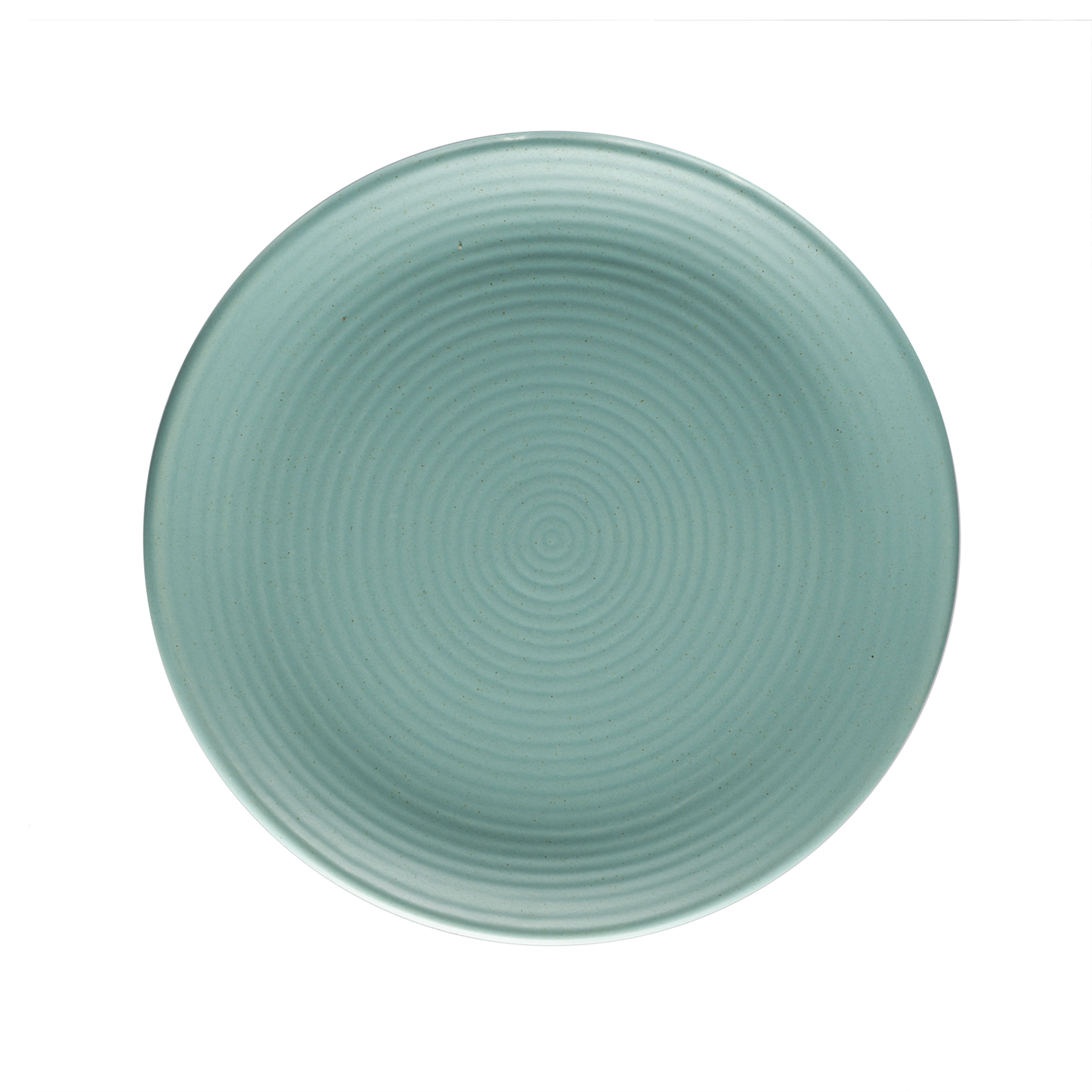 img/npl_modified_images/Plates_01/Dinner+Plates/WDPJLLYSWS4BLU/WDPJLLYSWS4BLU_WB_5.jpg