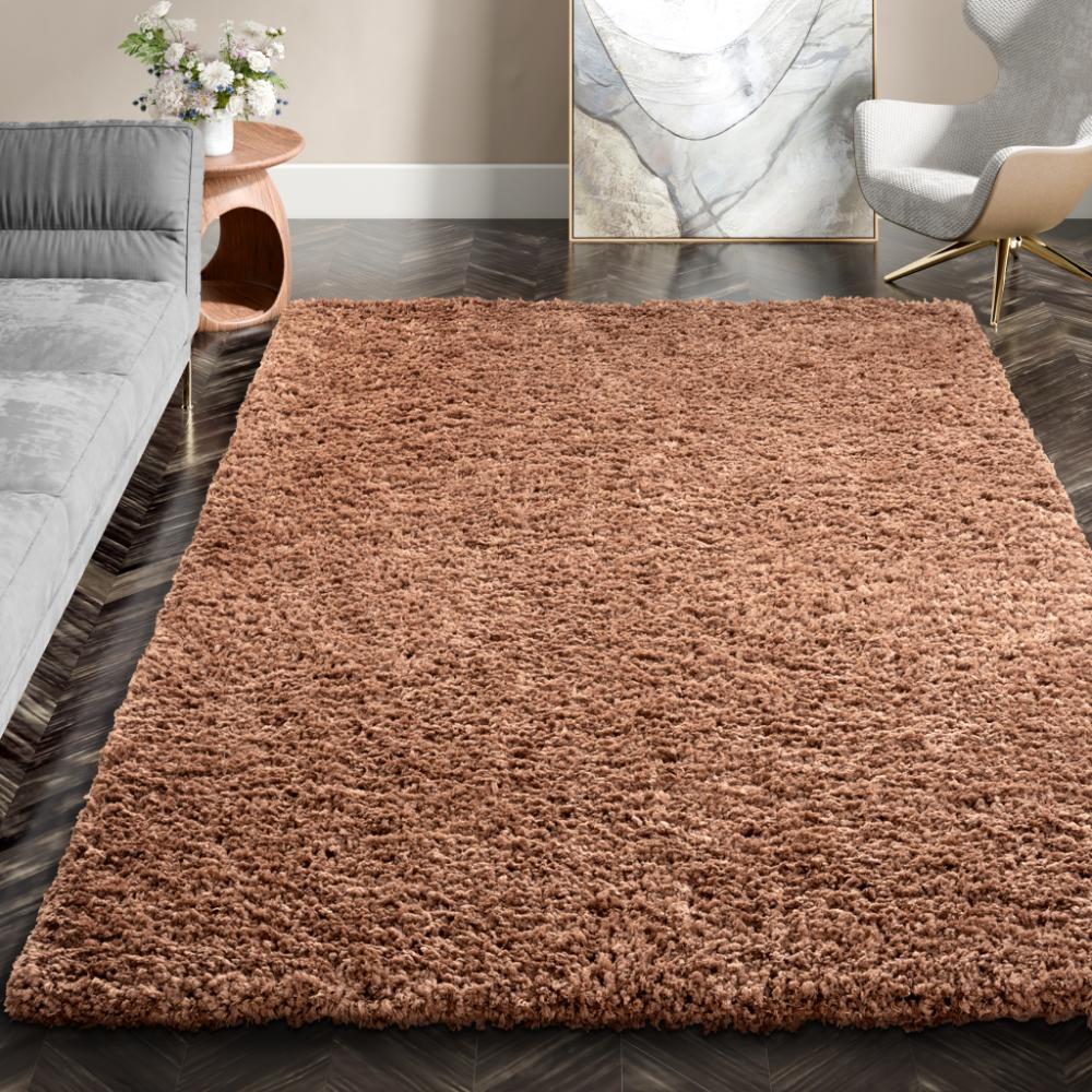Super Soft Shaggy Carpet | Fluffy 40 MM Pile Height | Indoor Modern Plush Area Rugs for Living Room Bedroom | 5x7 feet | Micro Polyester | Extra Thick Shag Rectangular Upgrade Anti-Skid Rug | Brown