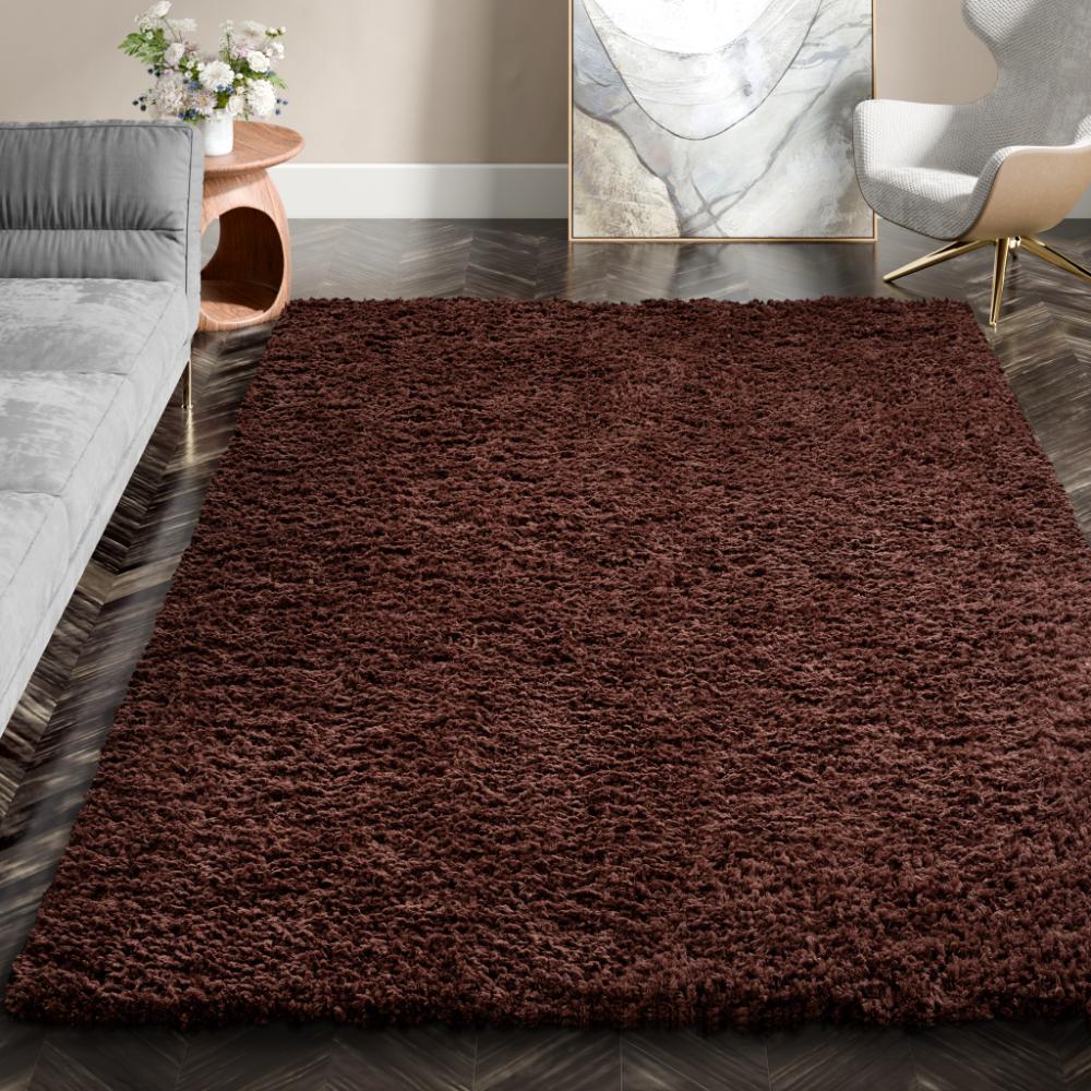 Super Soft Shaggy Carpet | Fluffy 40 MM Pile Height | Indoor Modern Plush Area Rugs for Living Room Bedroom | 5x7 feet | Micro Polyester | Extra Thick Shag Rectangular Upgrade Anti-Skid Rug | Brown