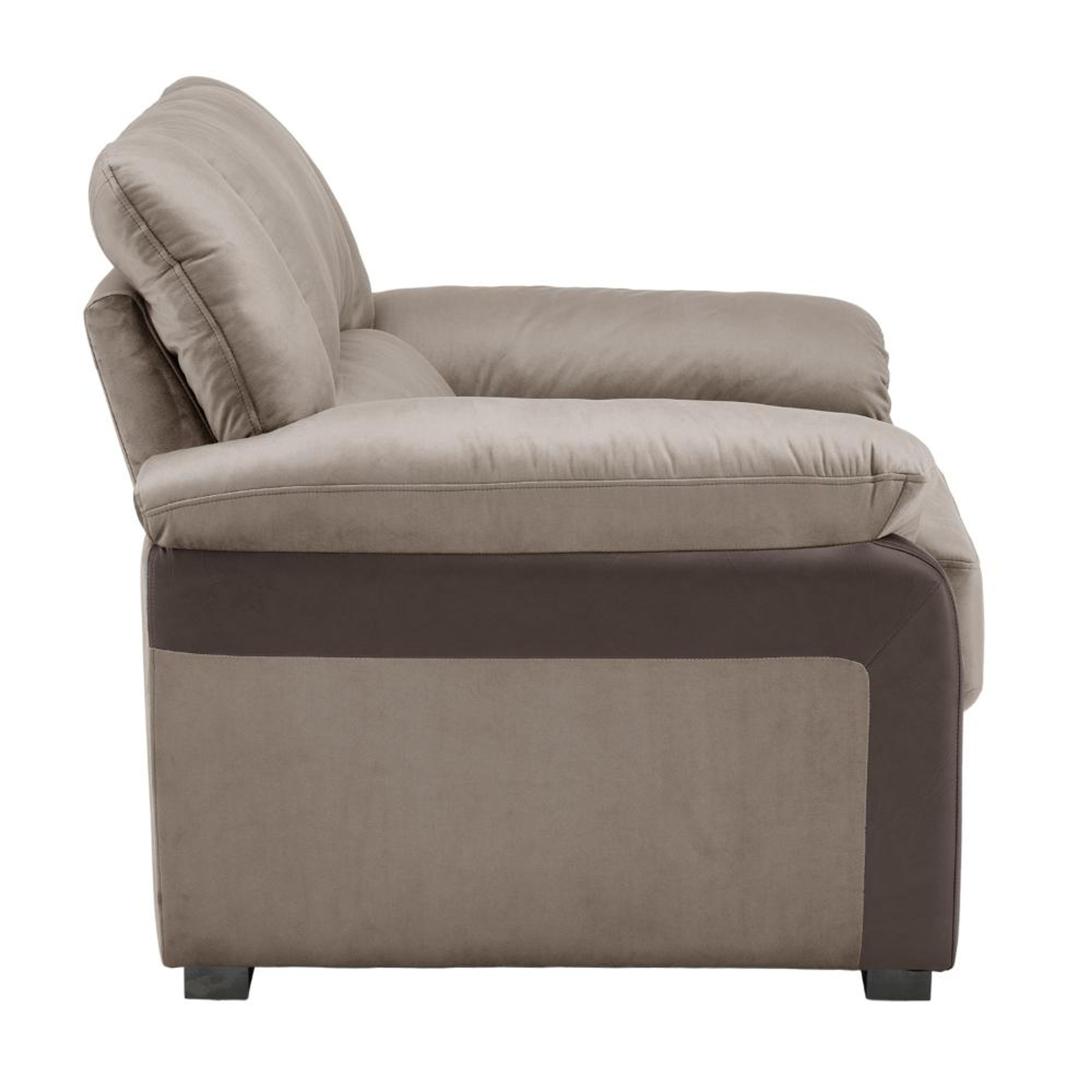 img/npl_modified_images/Sofa_image/WSFALMRN1FVSD/WSFALMRN1FVSD_5.jpg