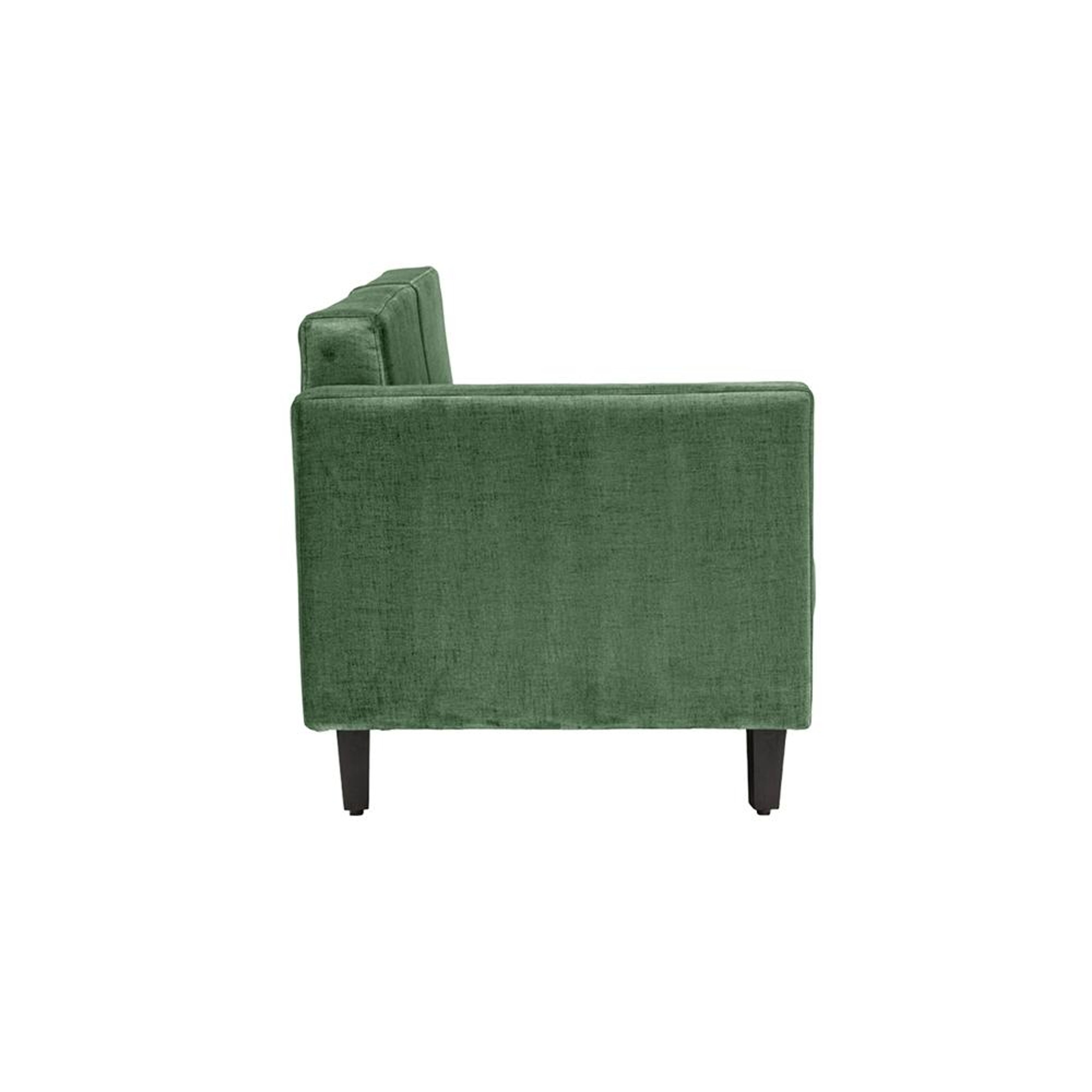 img/npl_modified_images/sofa_WSFASZRPR3CFRGN/sofa_WSFASZRPR3CFRGN_9.jpg