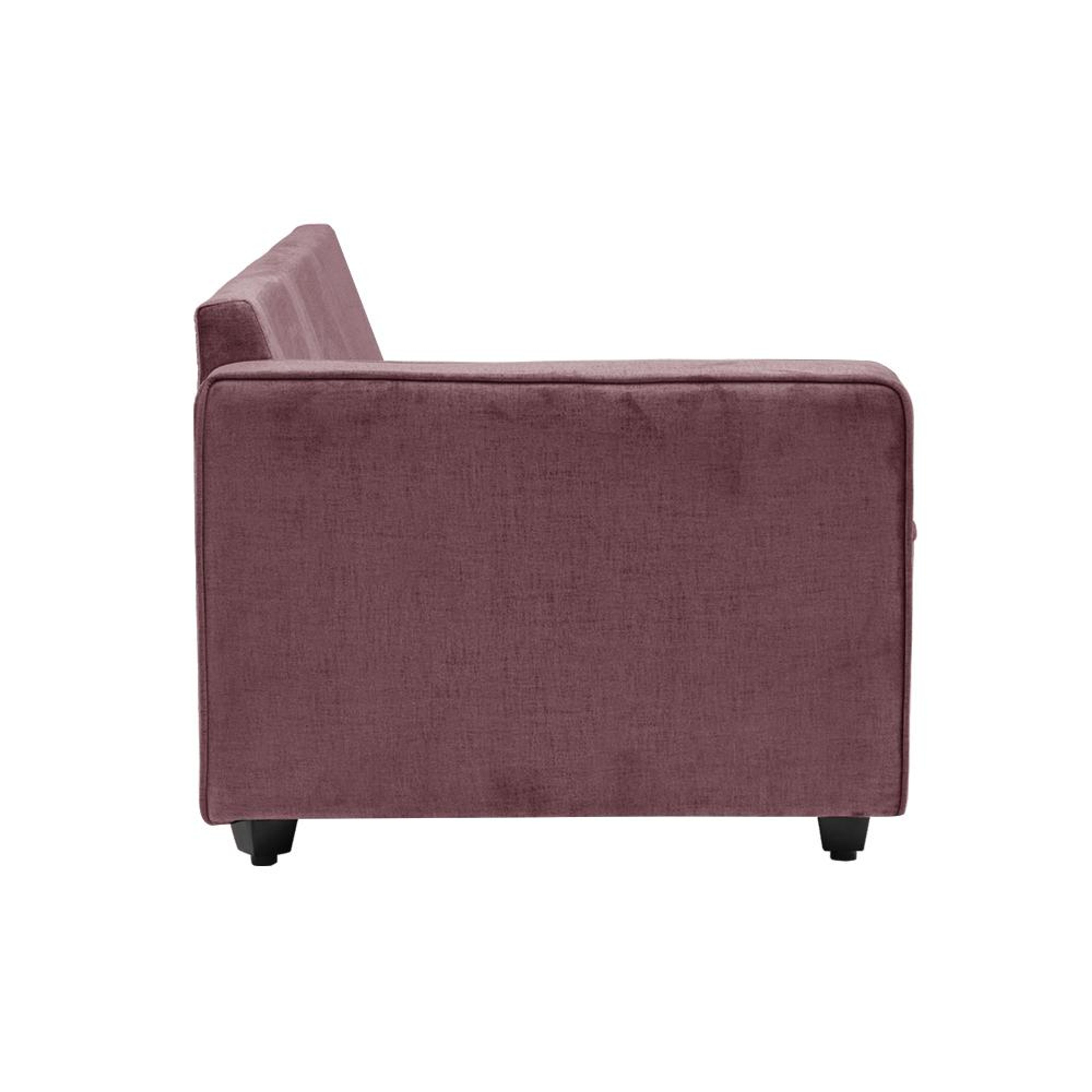 img/npl_modified_images/sofa_plus/sofa_WSFANPRPR3COFRRB/sofa_WSFANPRPR3COFRRB_2.jpg
