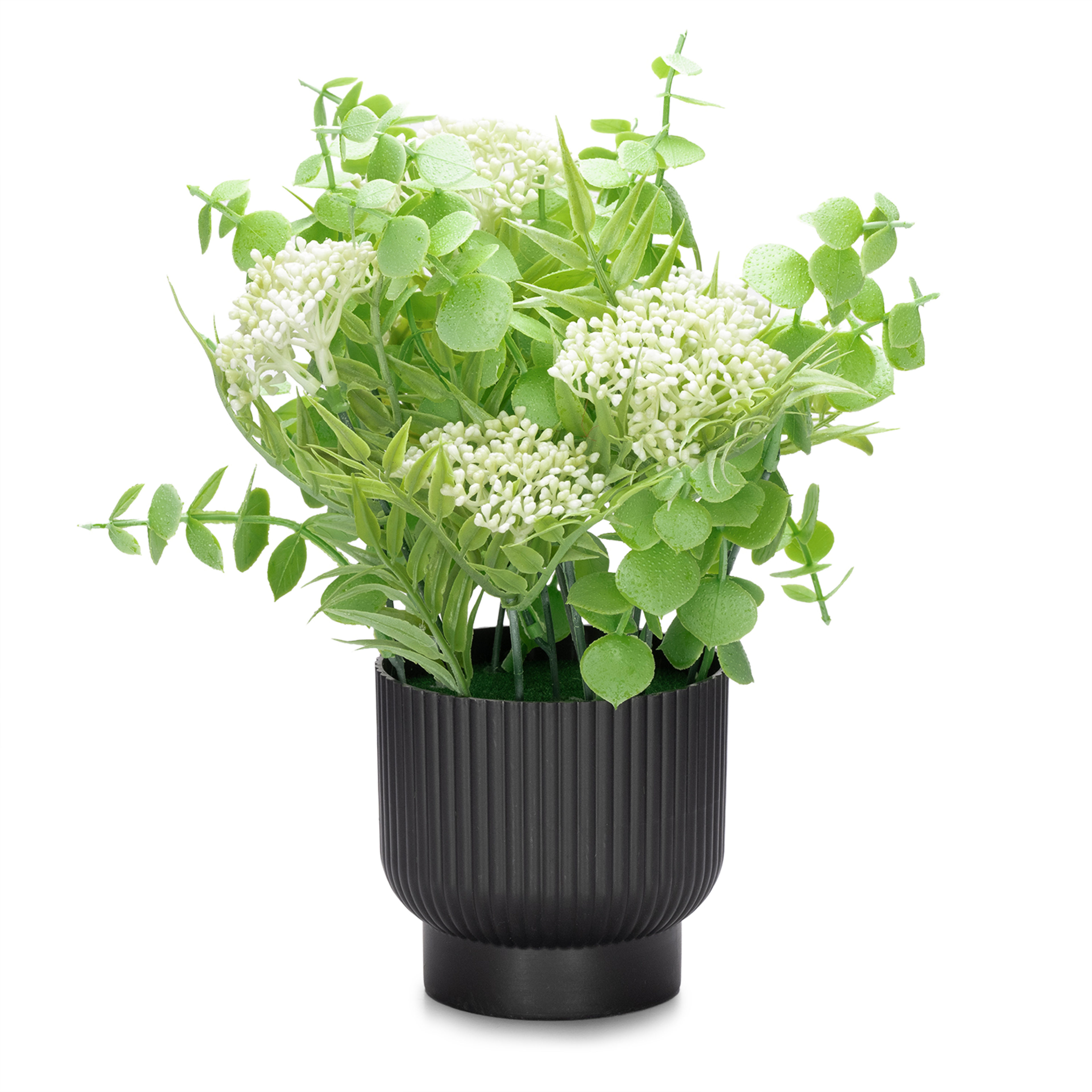 img/npl_raw_images/ArtificialPlantsFlowers02/WARPLCLINPLGRS1/WARPLCLINPLGRS1_WB_2.jpg