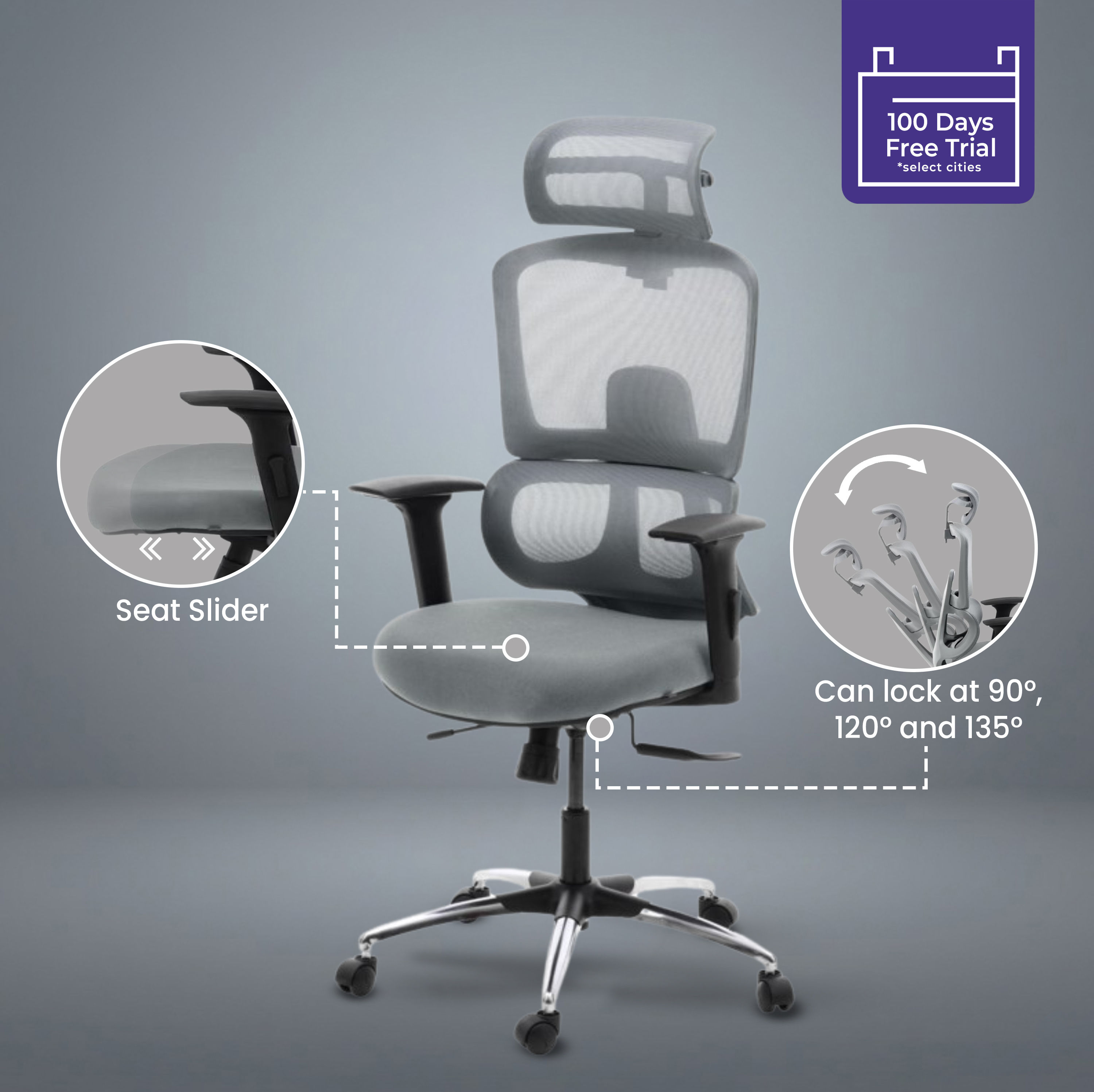 Trivon Double Back Seat Slider Multi Lock class 3D Armrest 4 Gaslift Ergonomic Office Chair Grey