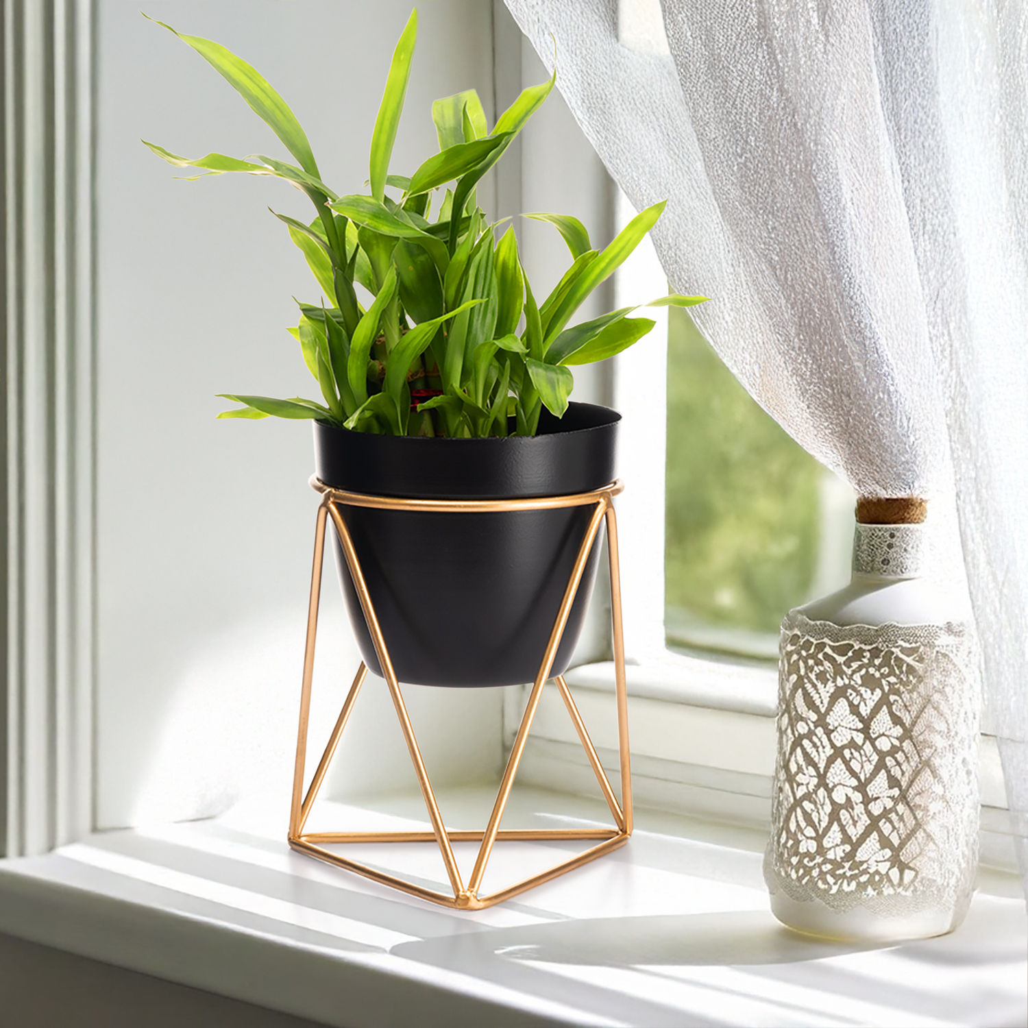 Table Top Metal Flower Pot | Indoor Planter With Stand | Charcoal Black | Claymore