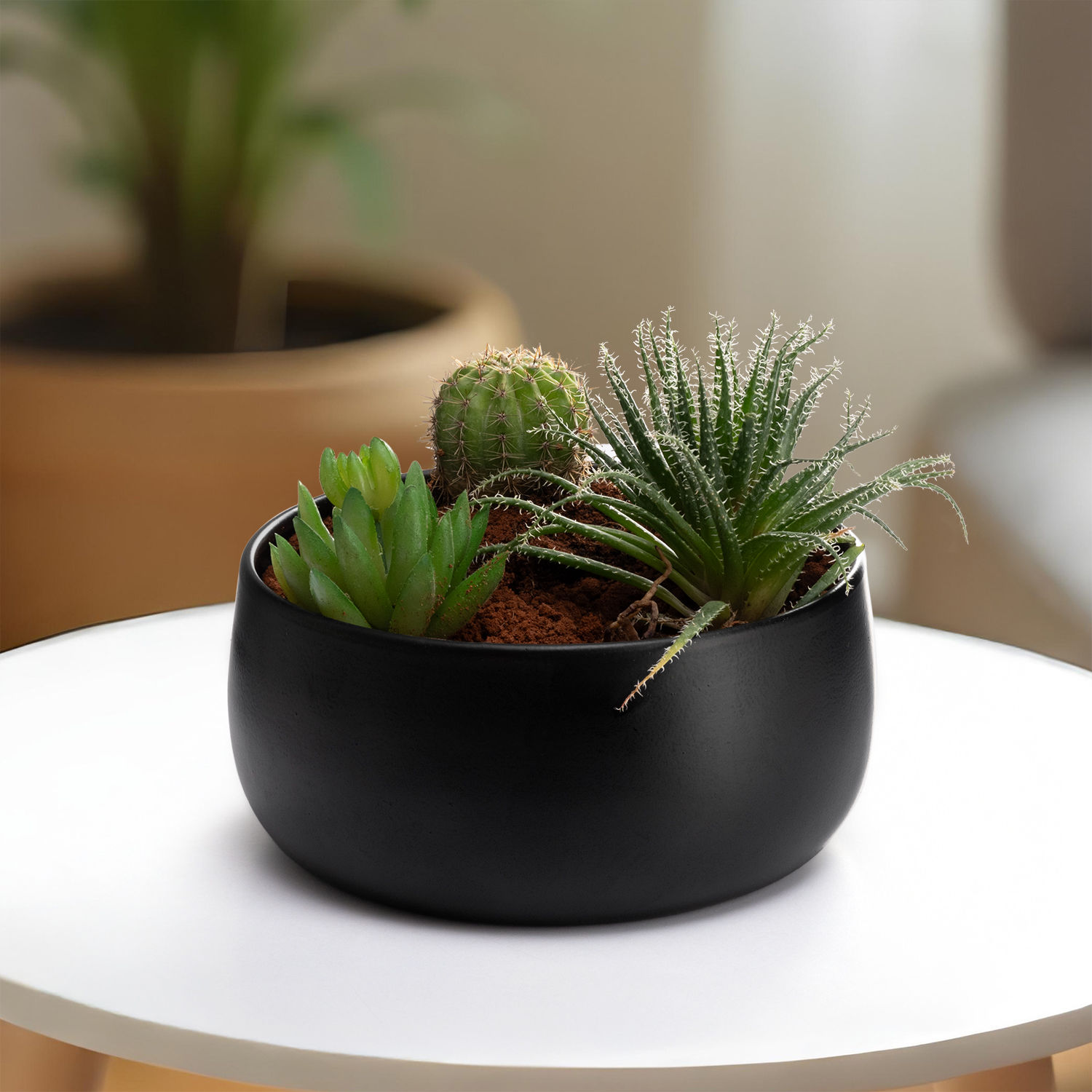 Versatile Metal Garden Pot | Floor & Table Planter | Indoor & Outdoor Use | Jet Black | Foliage