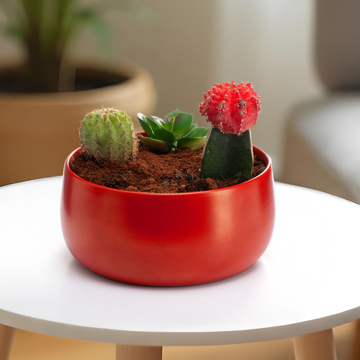 Versatile Metal Garden Pot | Floor & Table Planter | Indoor & Outdoor Use | Cherry Red | Foliage