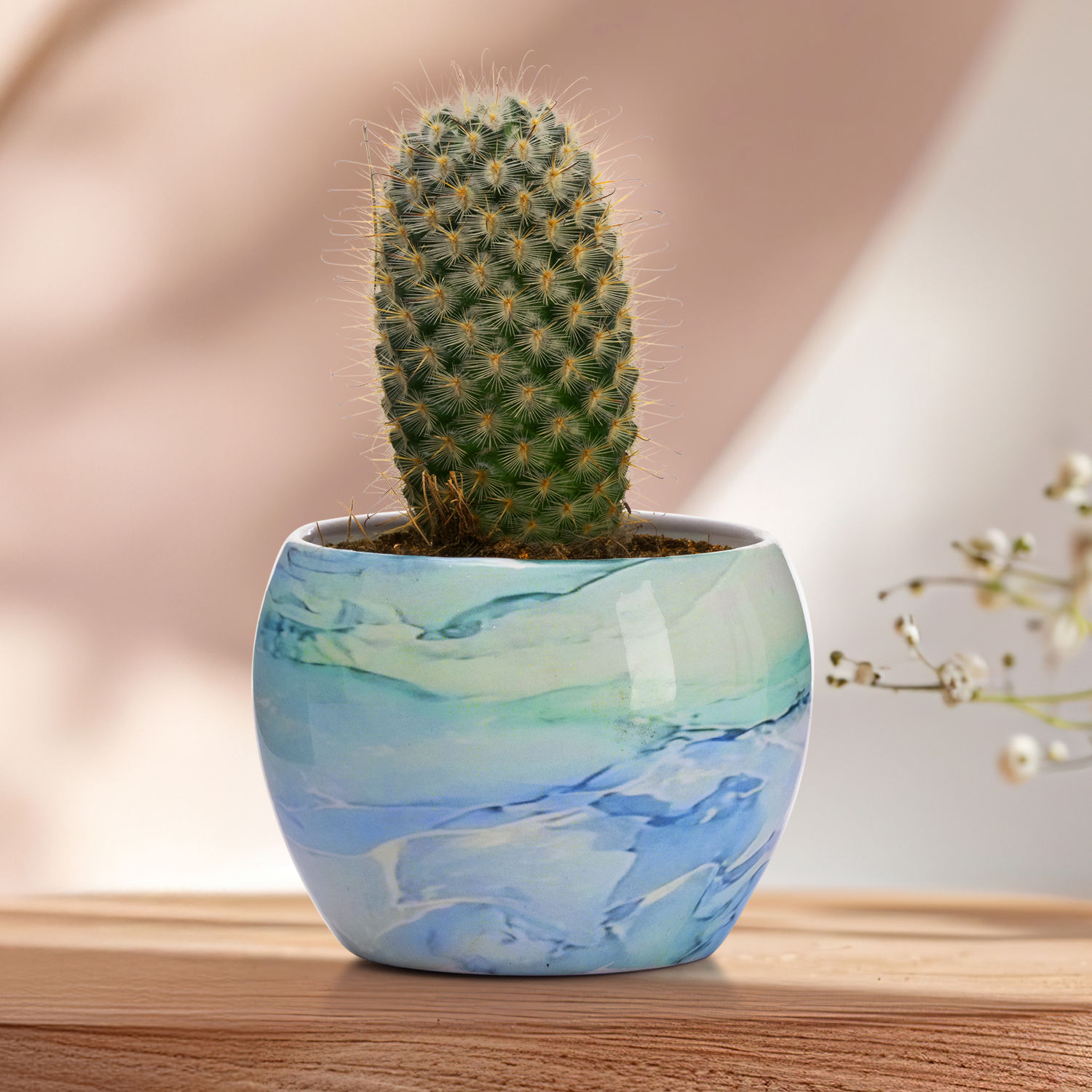 Table Top Metal Flower Pot | Elegant Indoor Planter | Marble Finish | Seedling